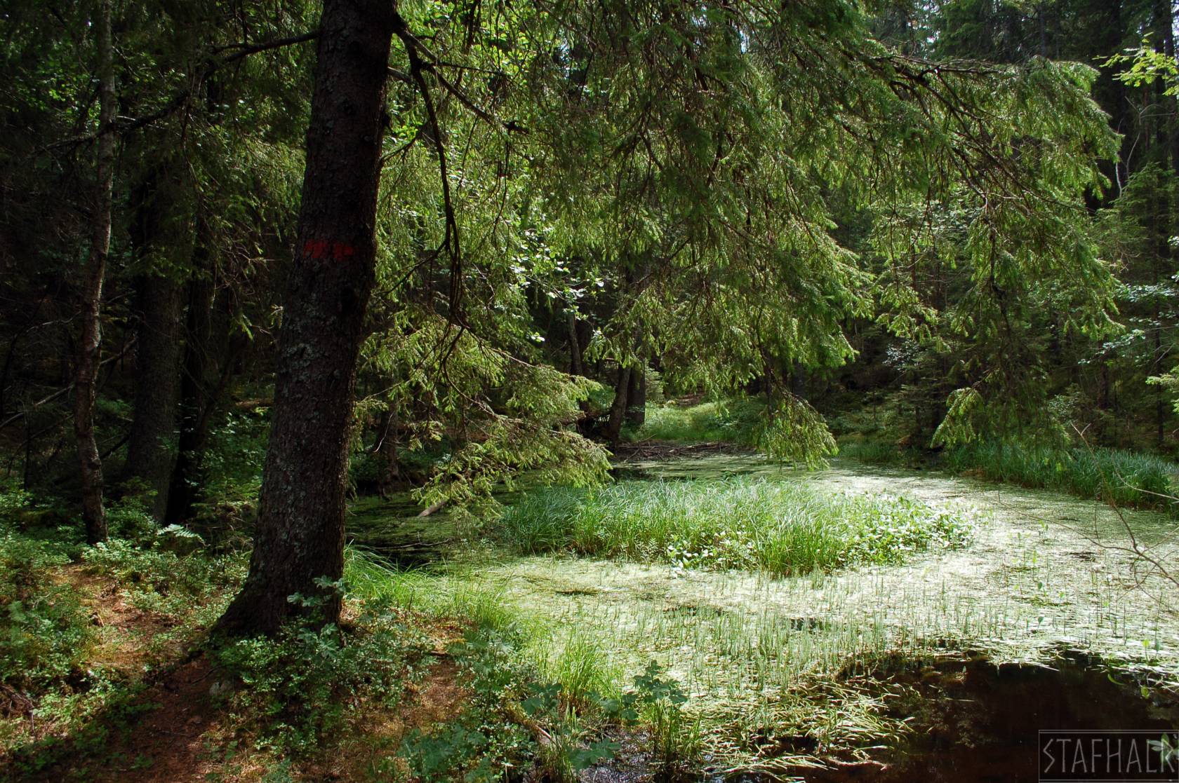 DSC_0051.jpg