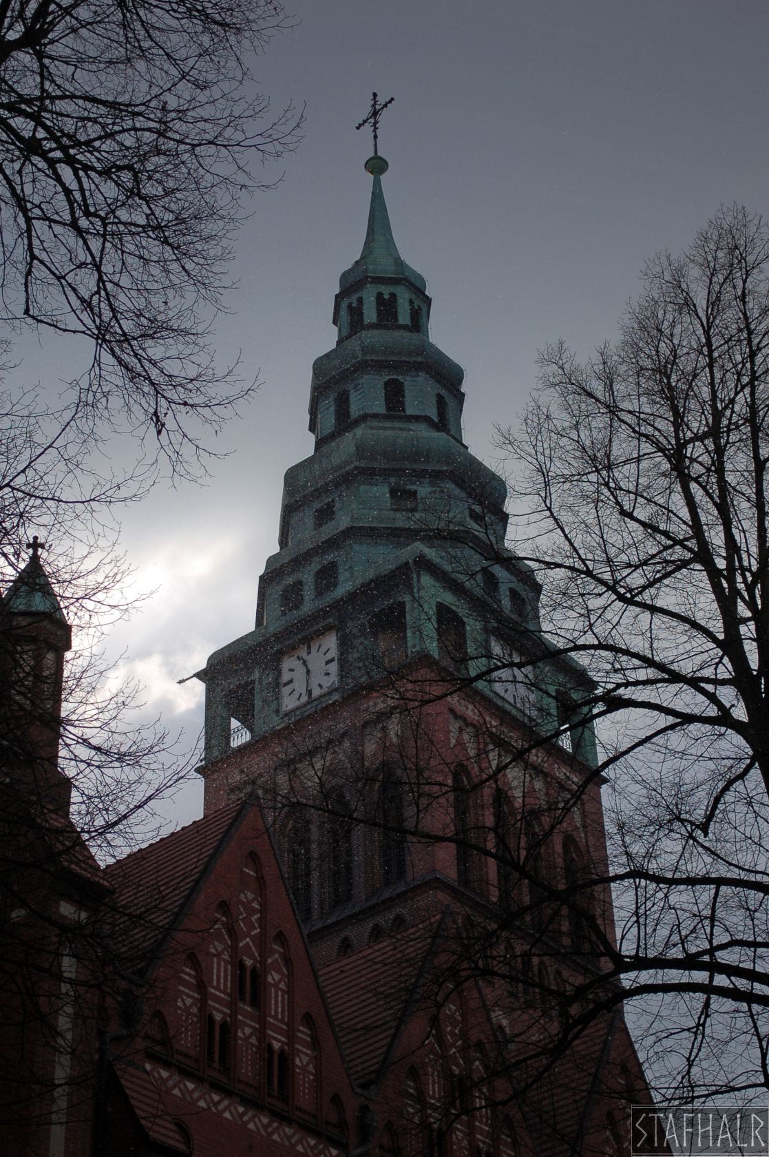DSC_0144.jpg