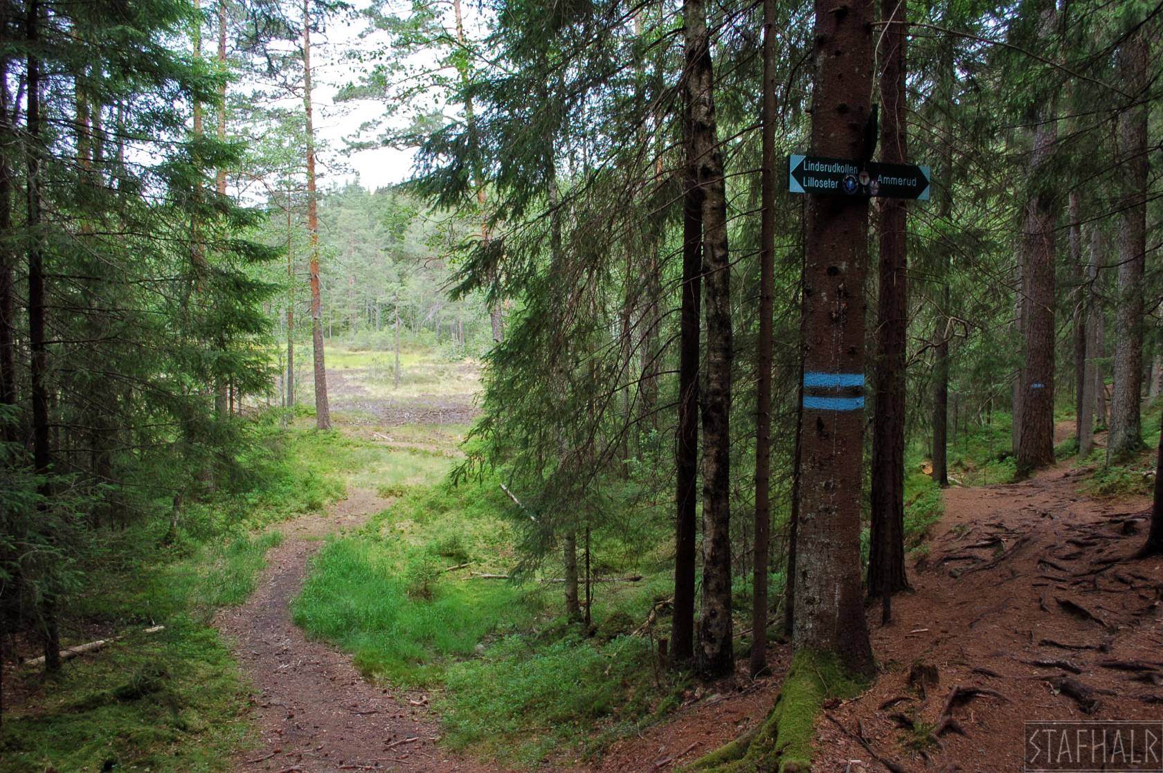 DSC_0036.jpg