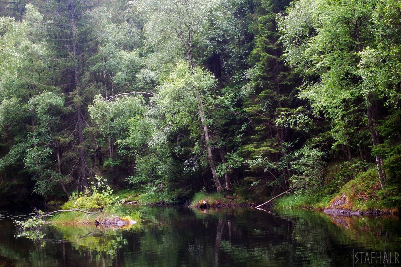 DSC_0087.jpg