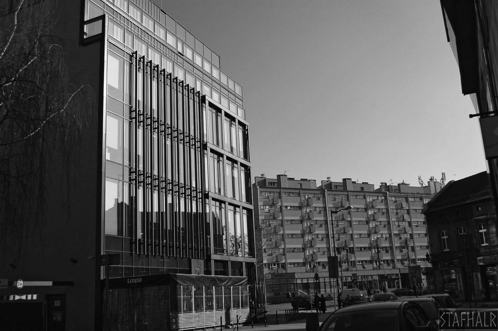 DSC_0404.jpg