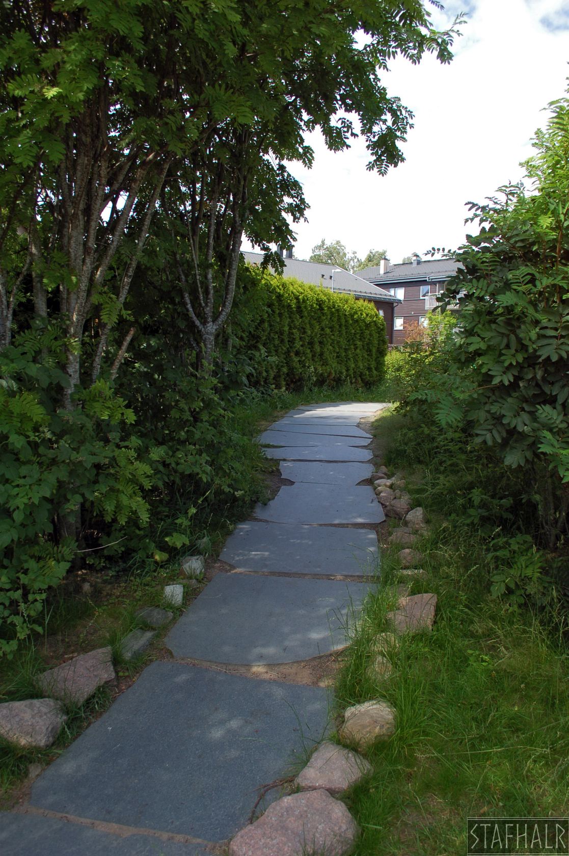 DSC_0016.jpg