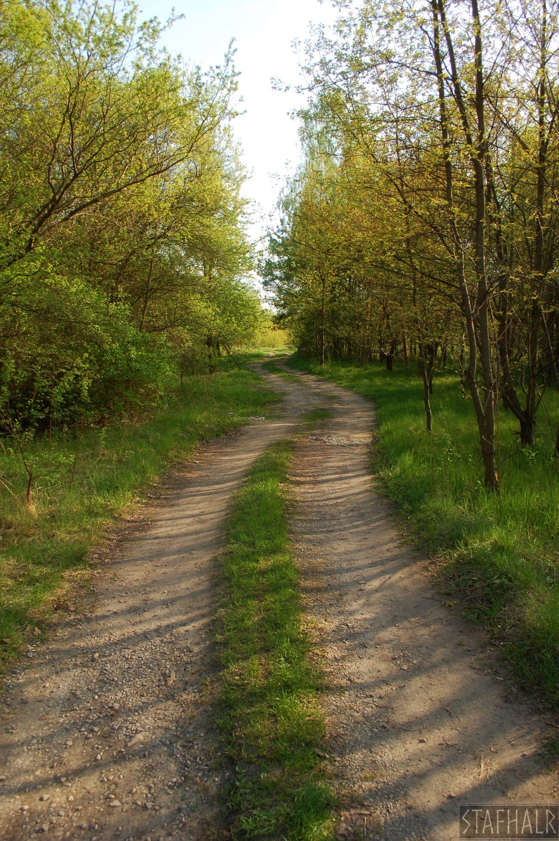 DSC_0598.jpg