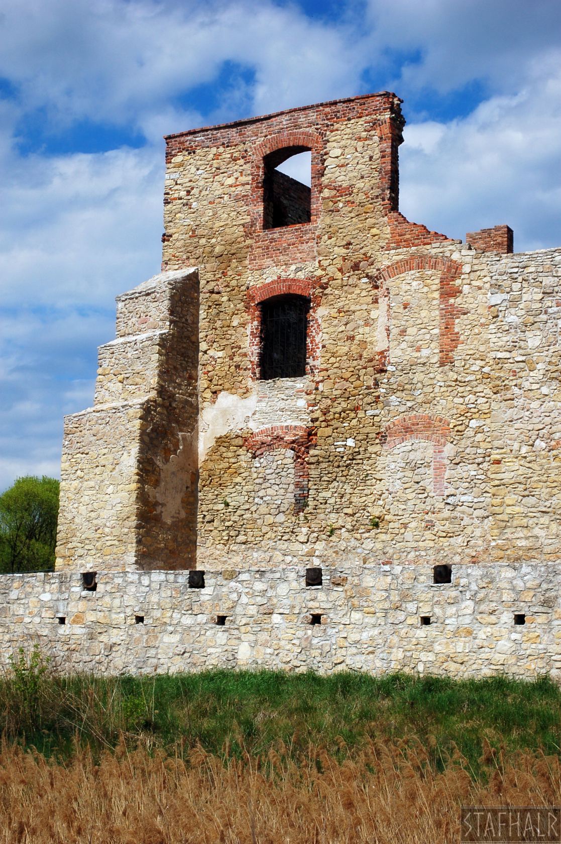 DSC_0488.jpg