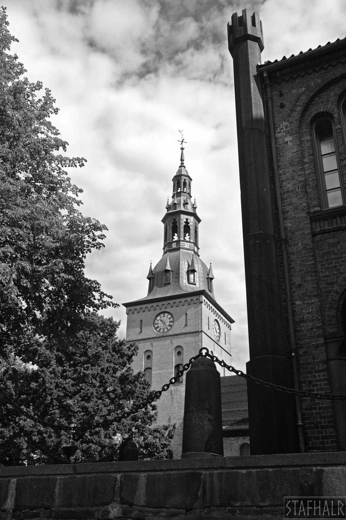 DSC_7339.jpg
