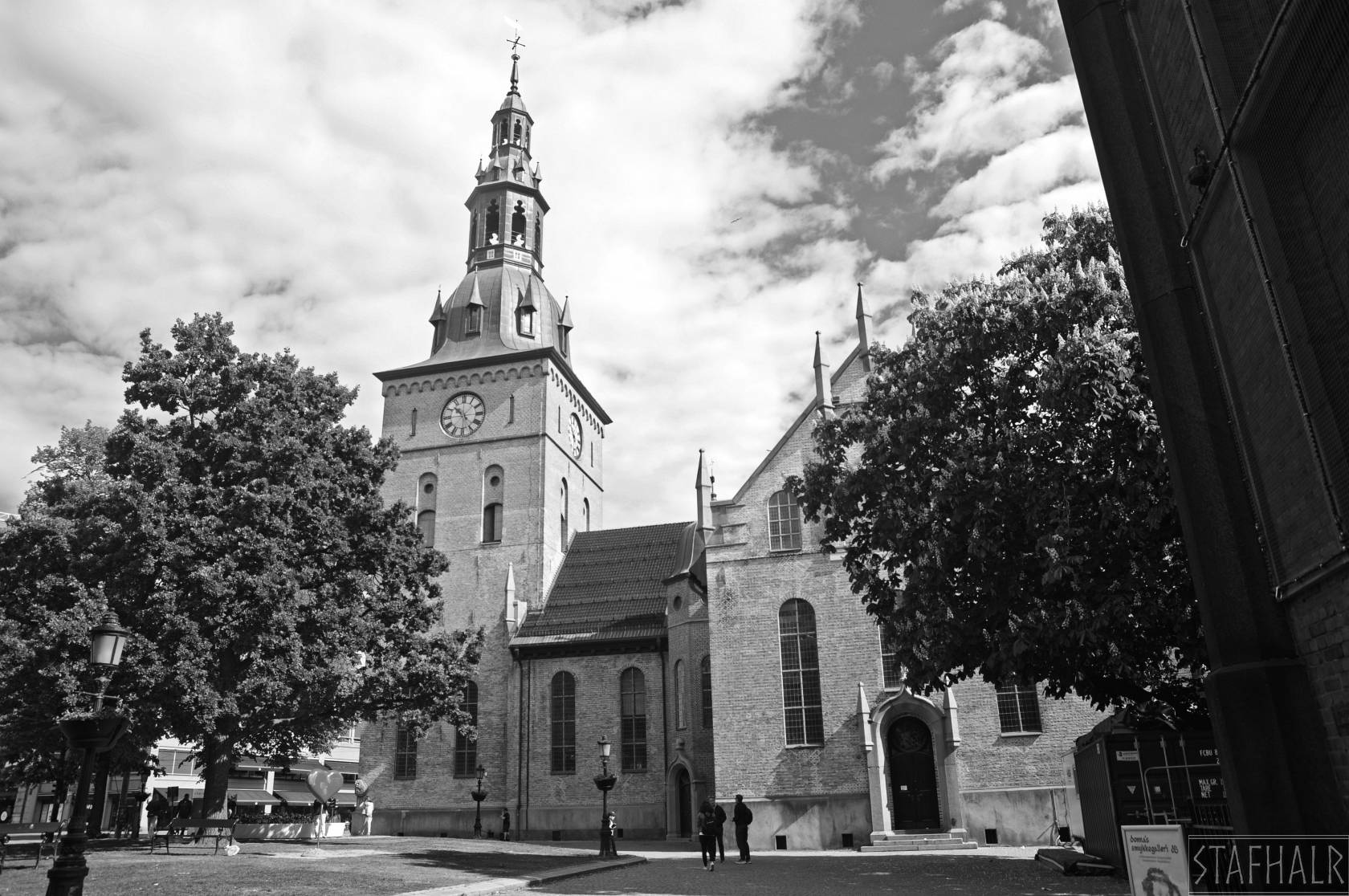 DSC_7340.jpg