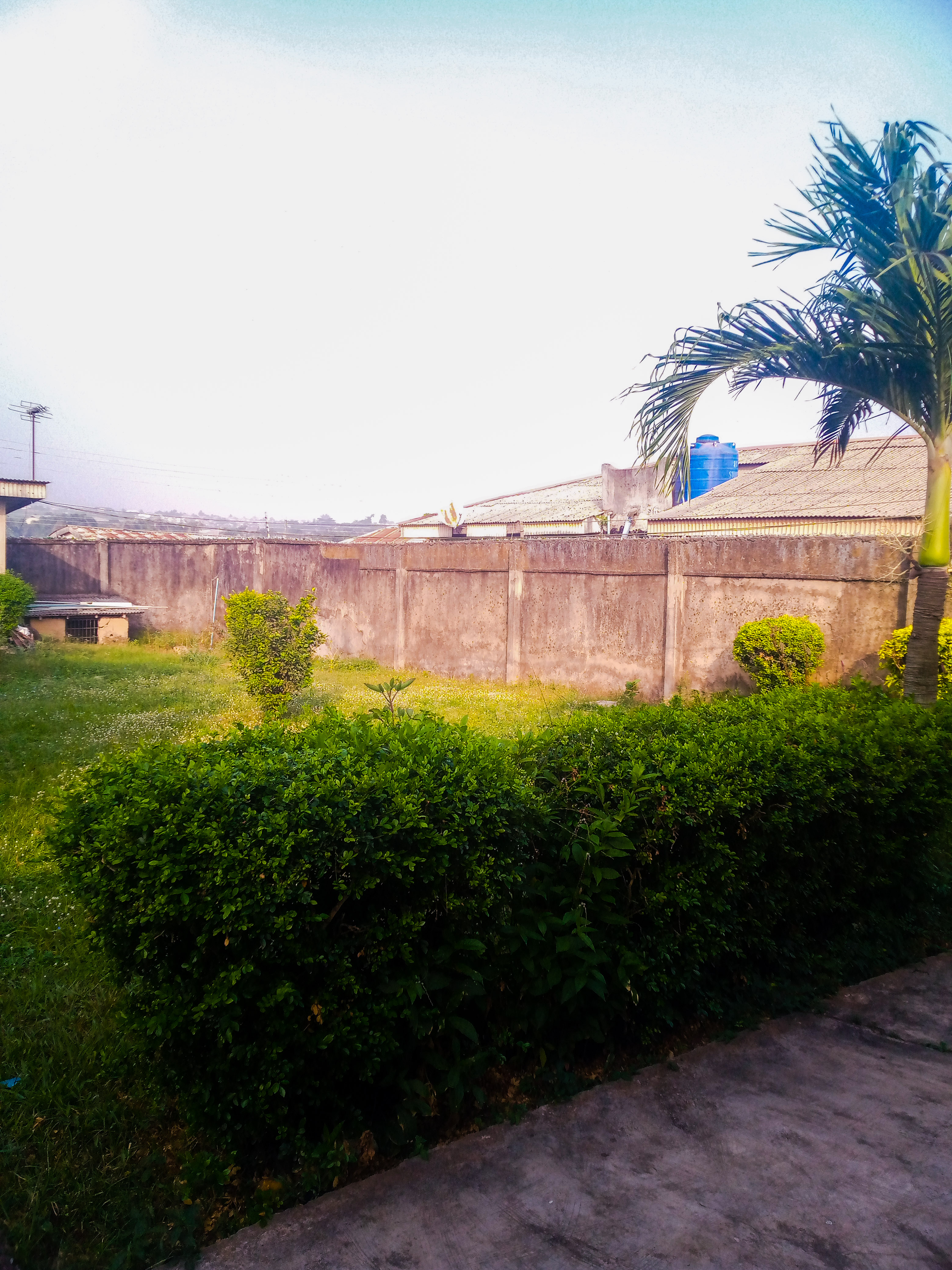 PSX_20201202_084026.jpg
