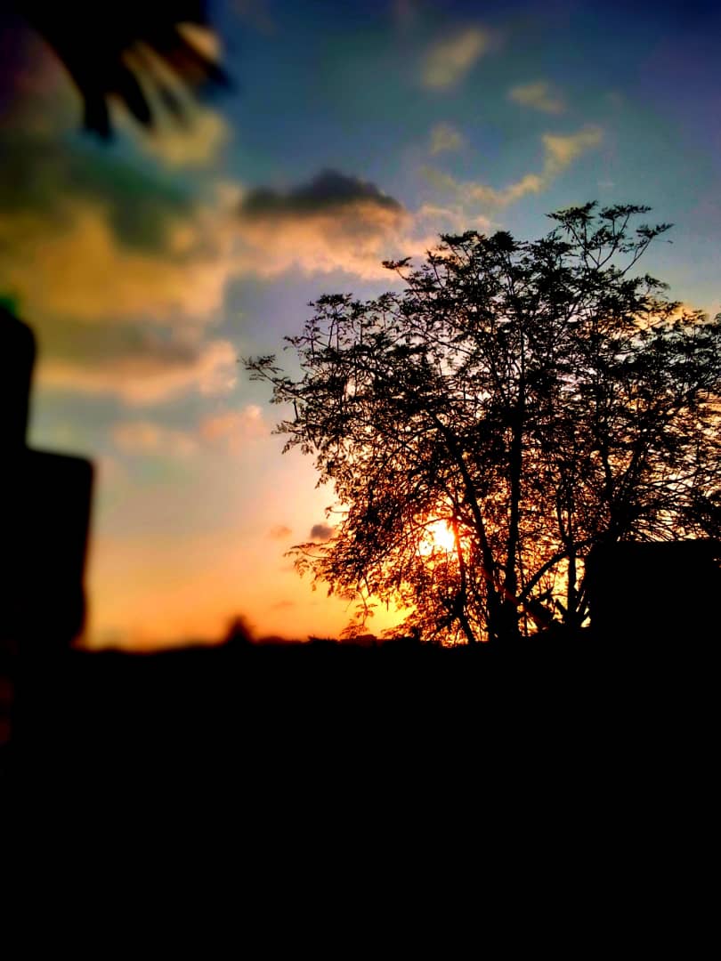 0E256BB0-CE27-4262-A794-39A3D7C46793.jpeg