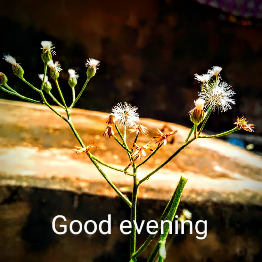 398C3853-9686-4338-81CF-786329CCE7C0.jpeg