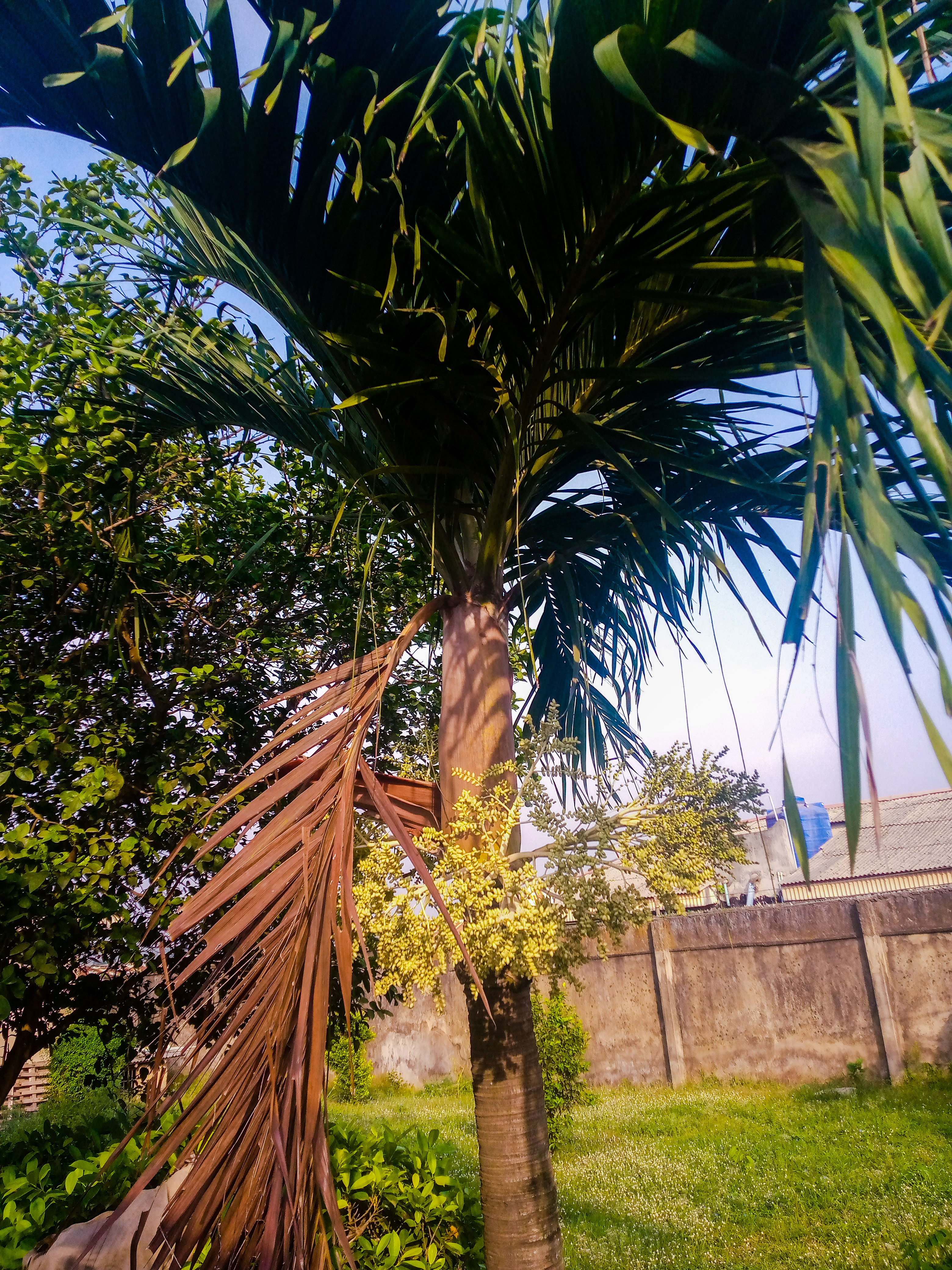 PSX_20201202_085907.jpg