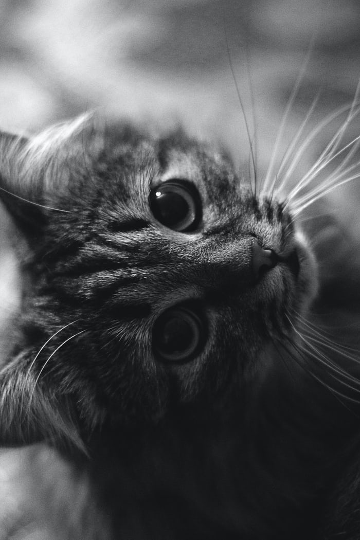 photo15827899915754d6d68c9dfad.jpeg