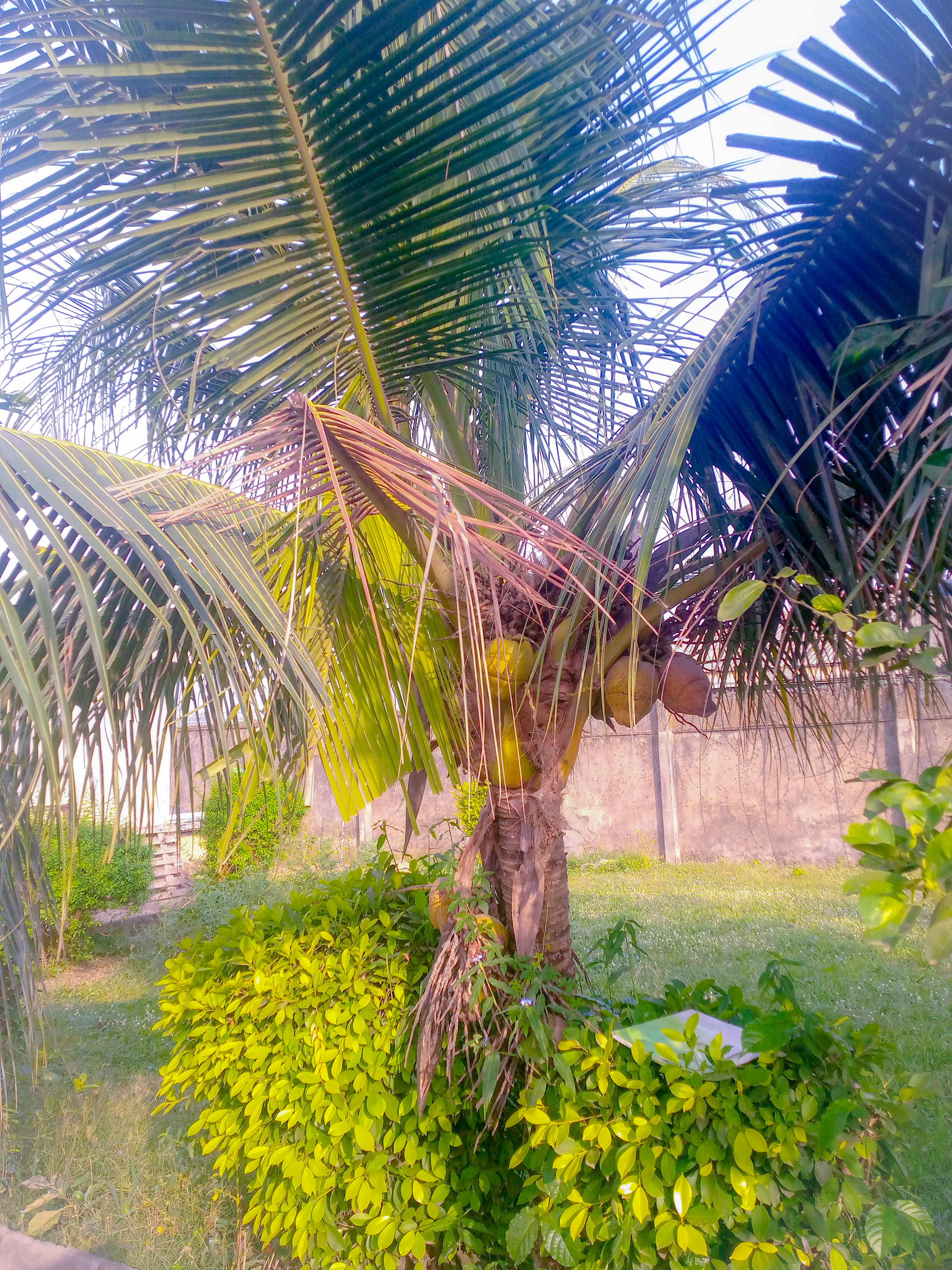 PSX_20201202_090046.jpg