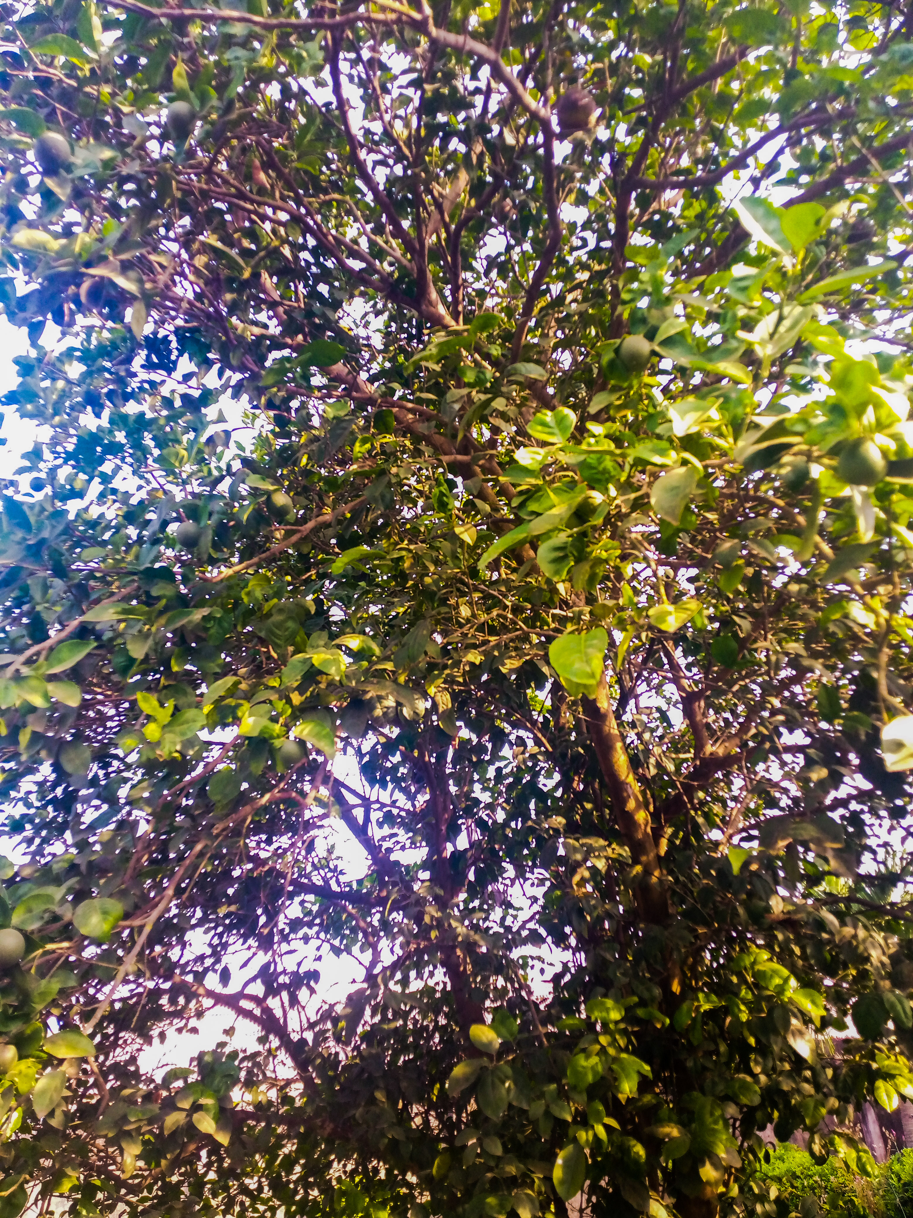 PSX_20201202_090637.jpg