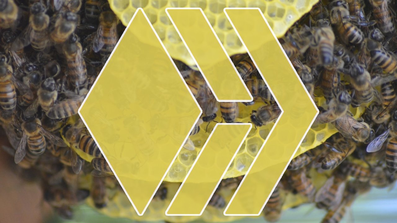 3HaJVw3AYyXBBQkN3tCkeqGDncZiRLVNg5Jyv5RiCGf2FwTABcit1xhsoW6B3fc1PTvfUQBruVj5rREvkrq3eq5UDy1xN6ng5dwJL46.jpeg