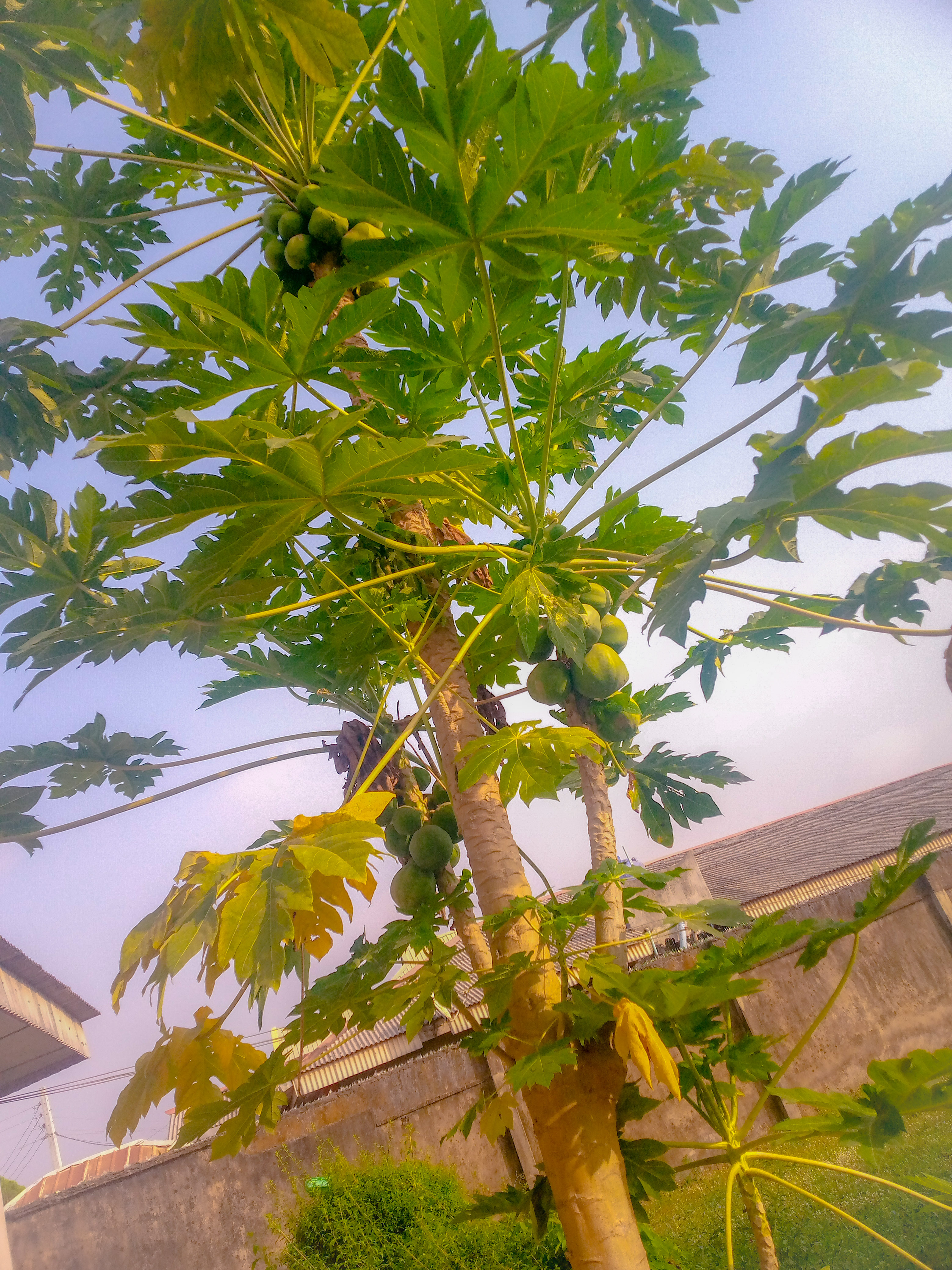 PSX_20201202_090335.jpg