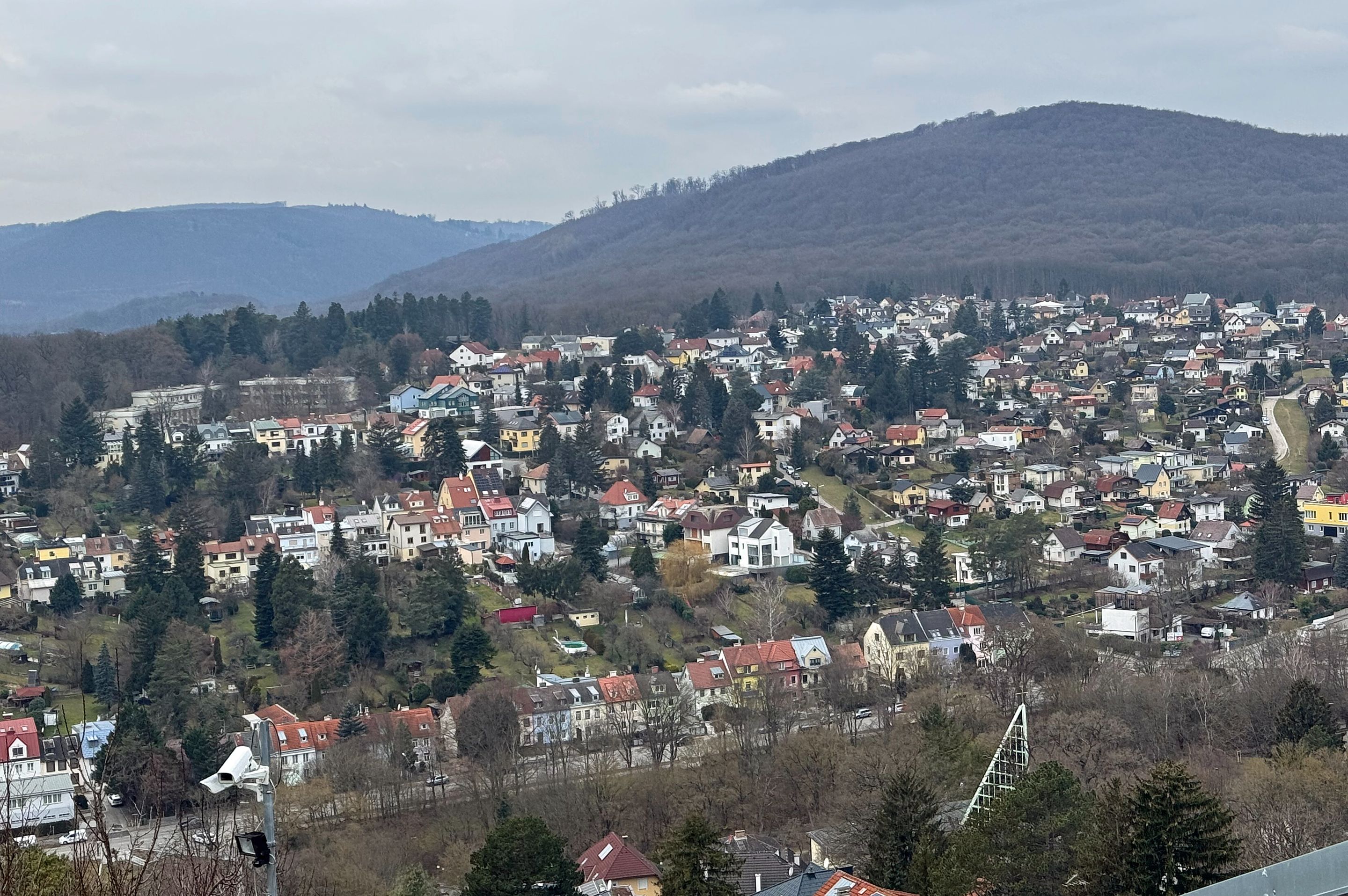 IMG_7644b.jpg