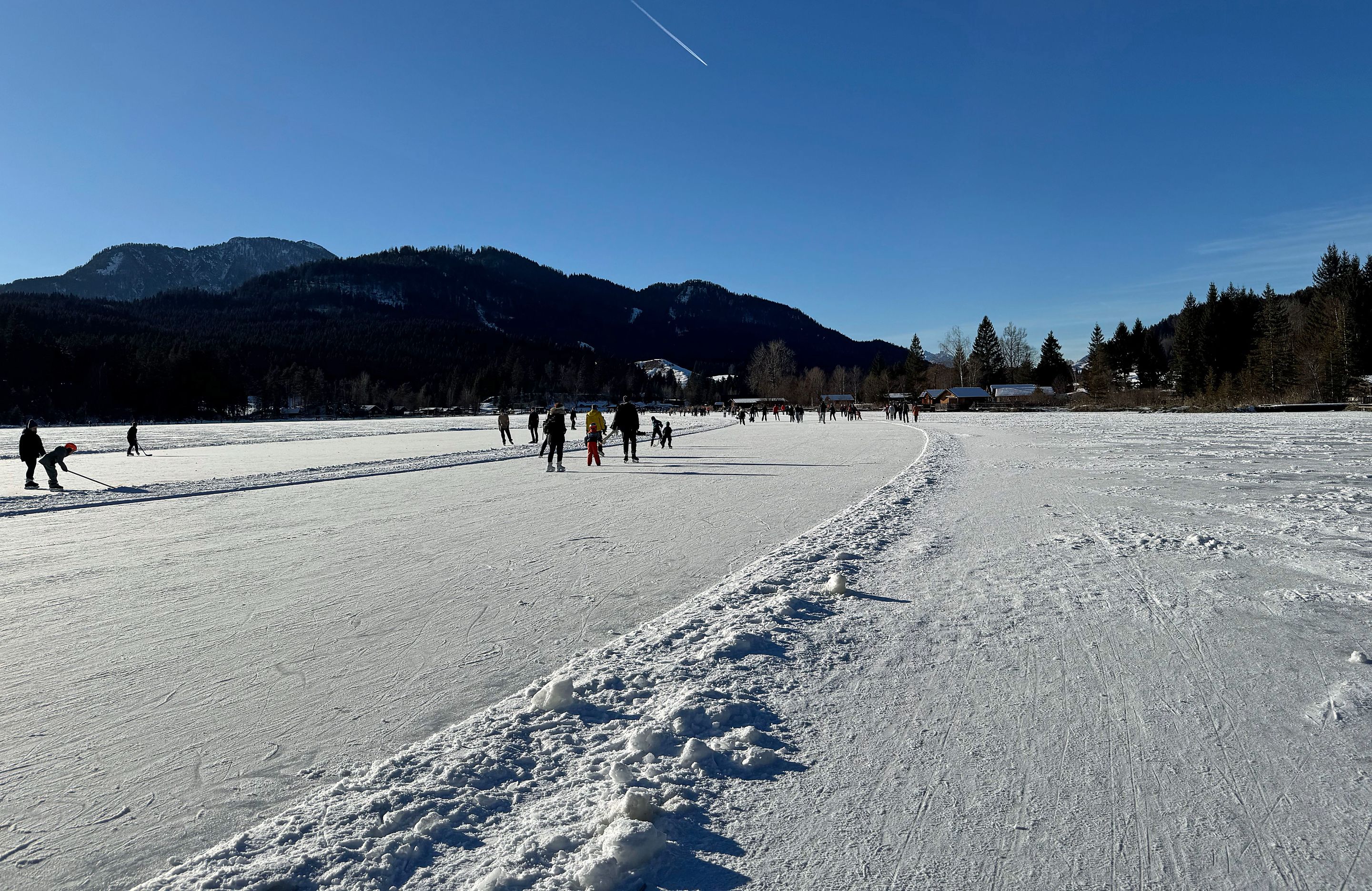 IMG_7391.jpg