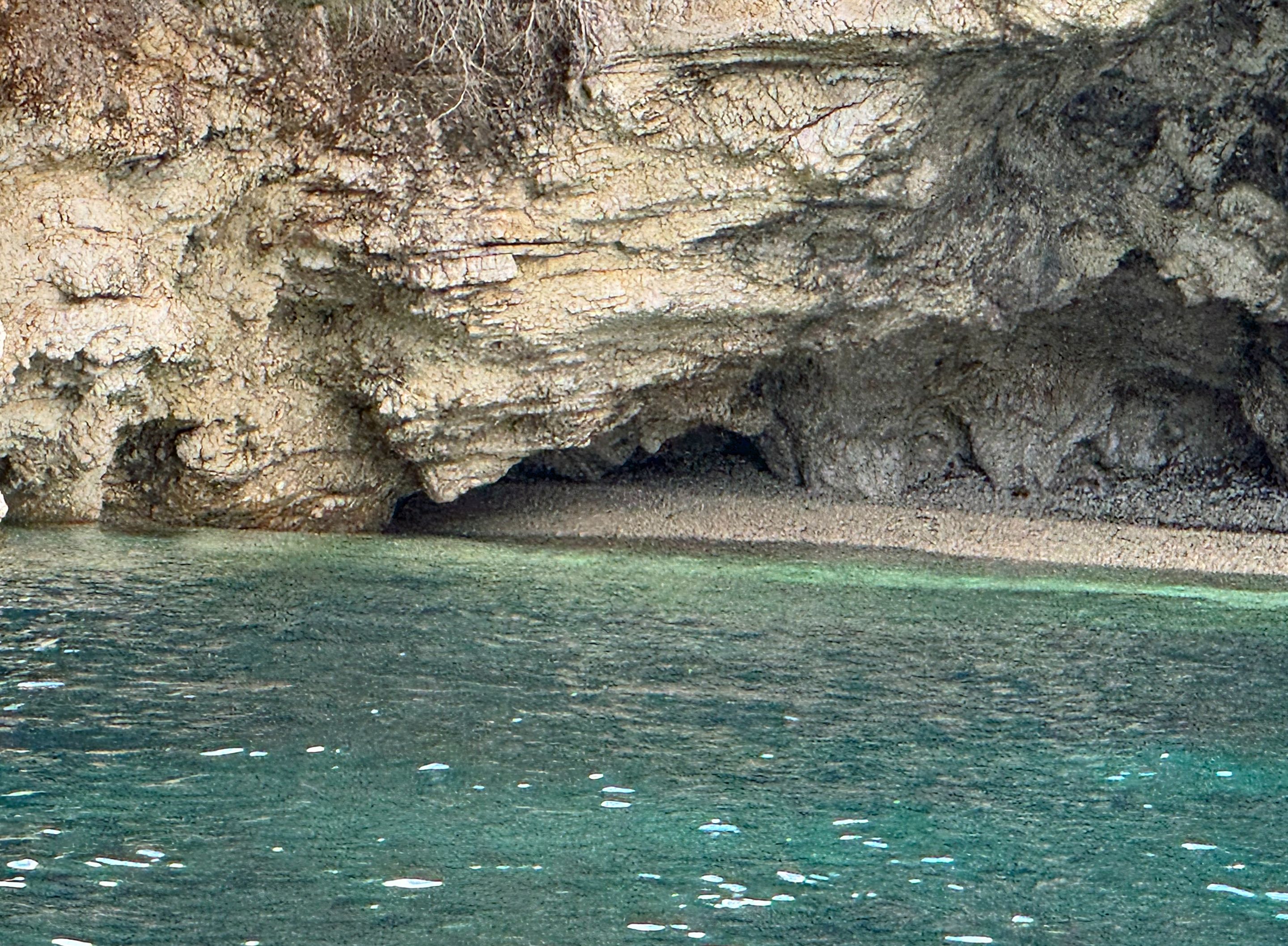 IMG_1701.jpg