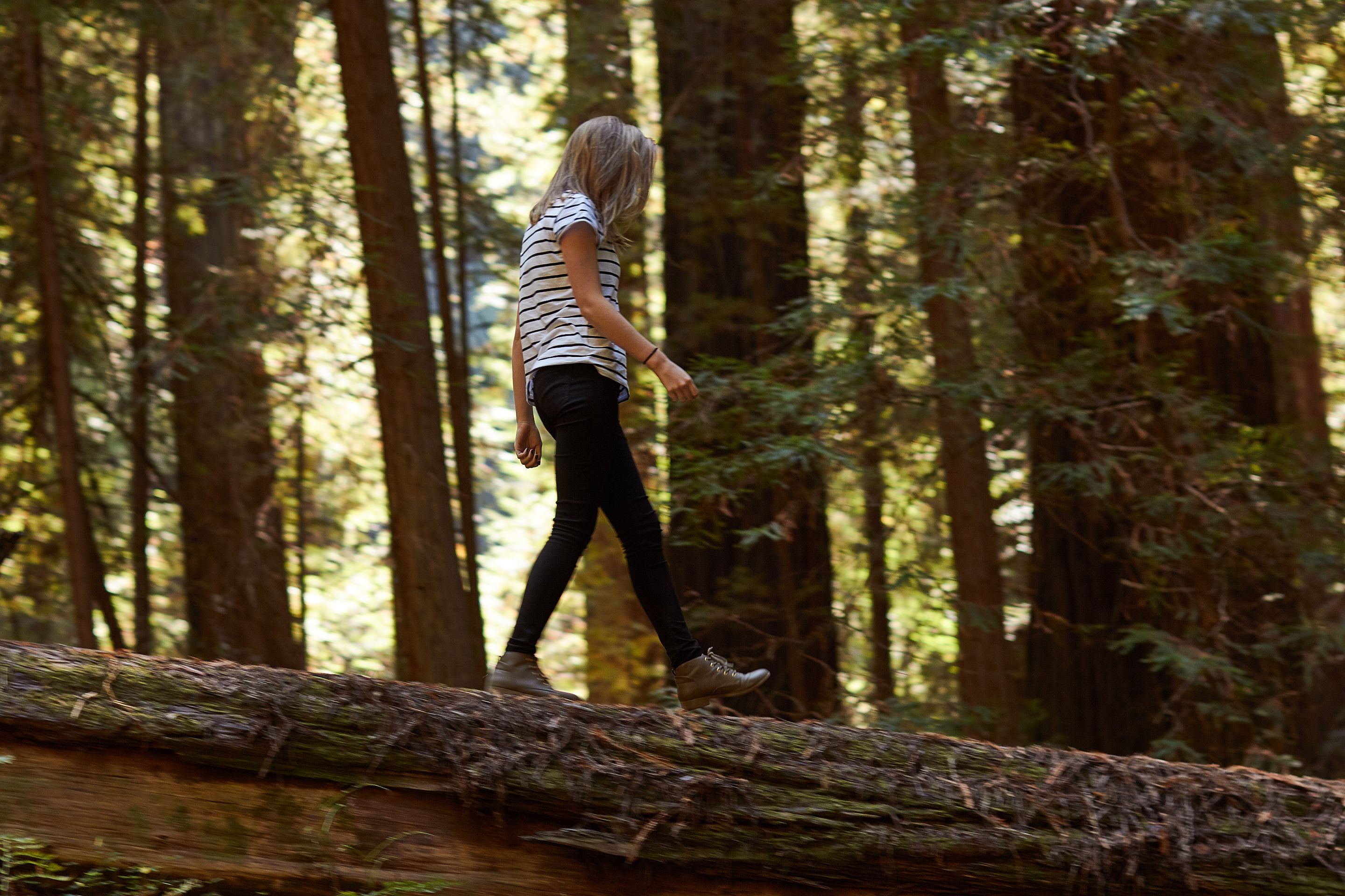 Redwoods022.jpg