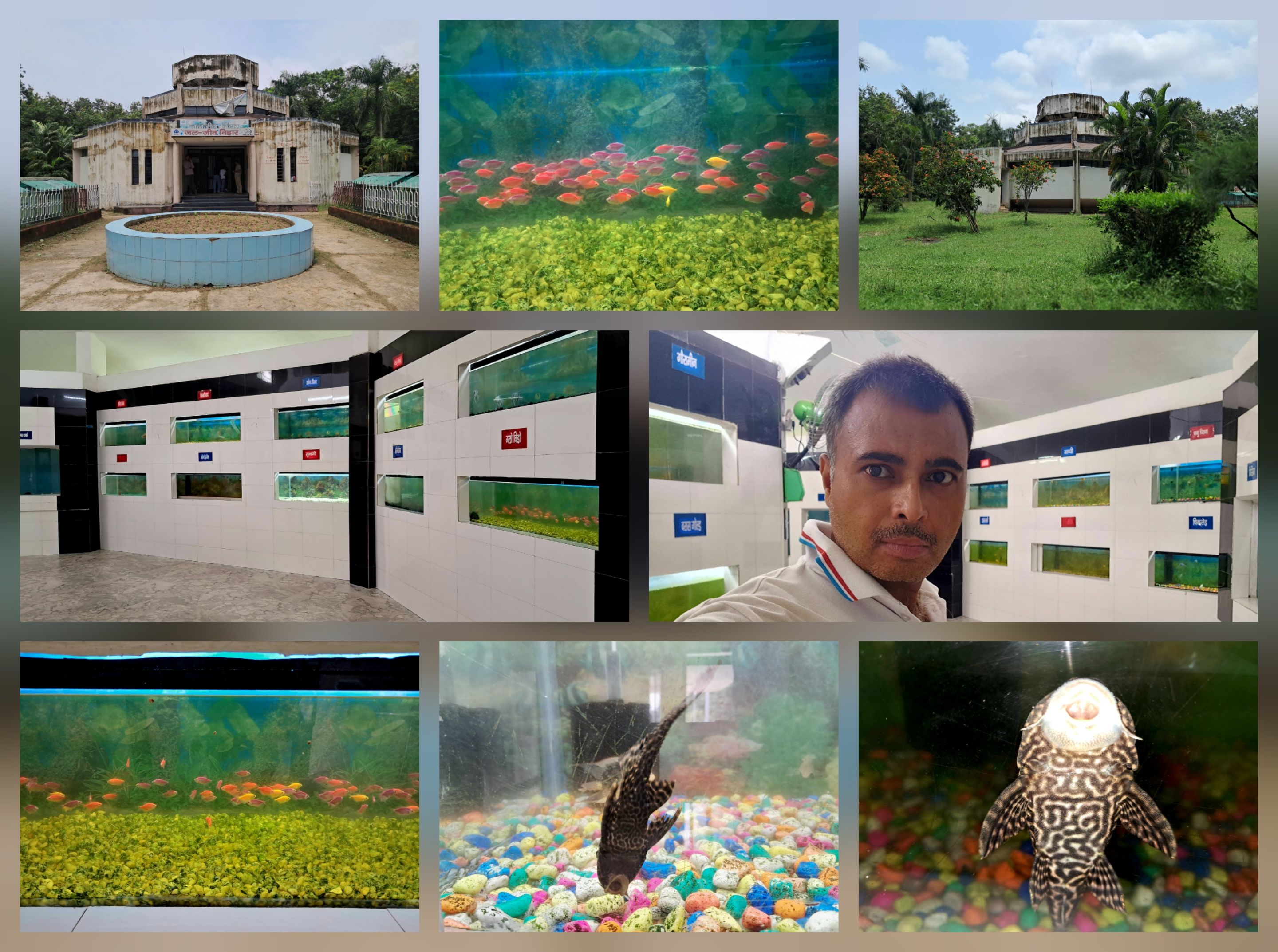Fish Kisses And Aquarium Wishes - Aquarium Wonders @ Jal Jeev Vihar
