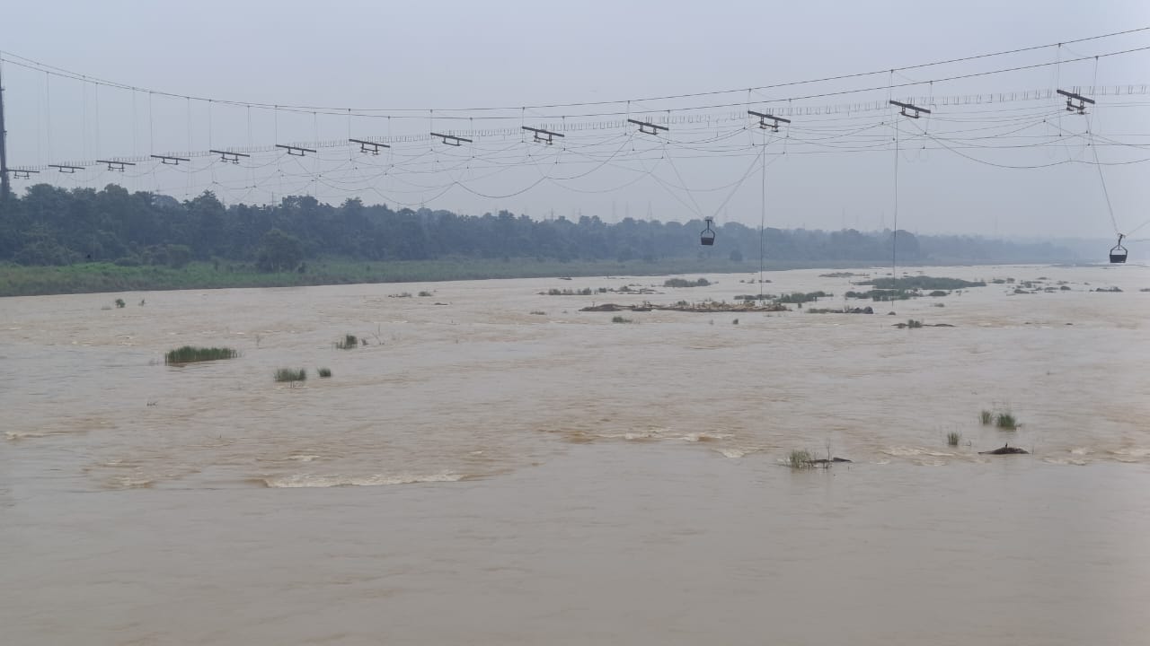 1000201007.jpg
