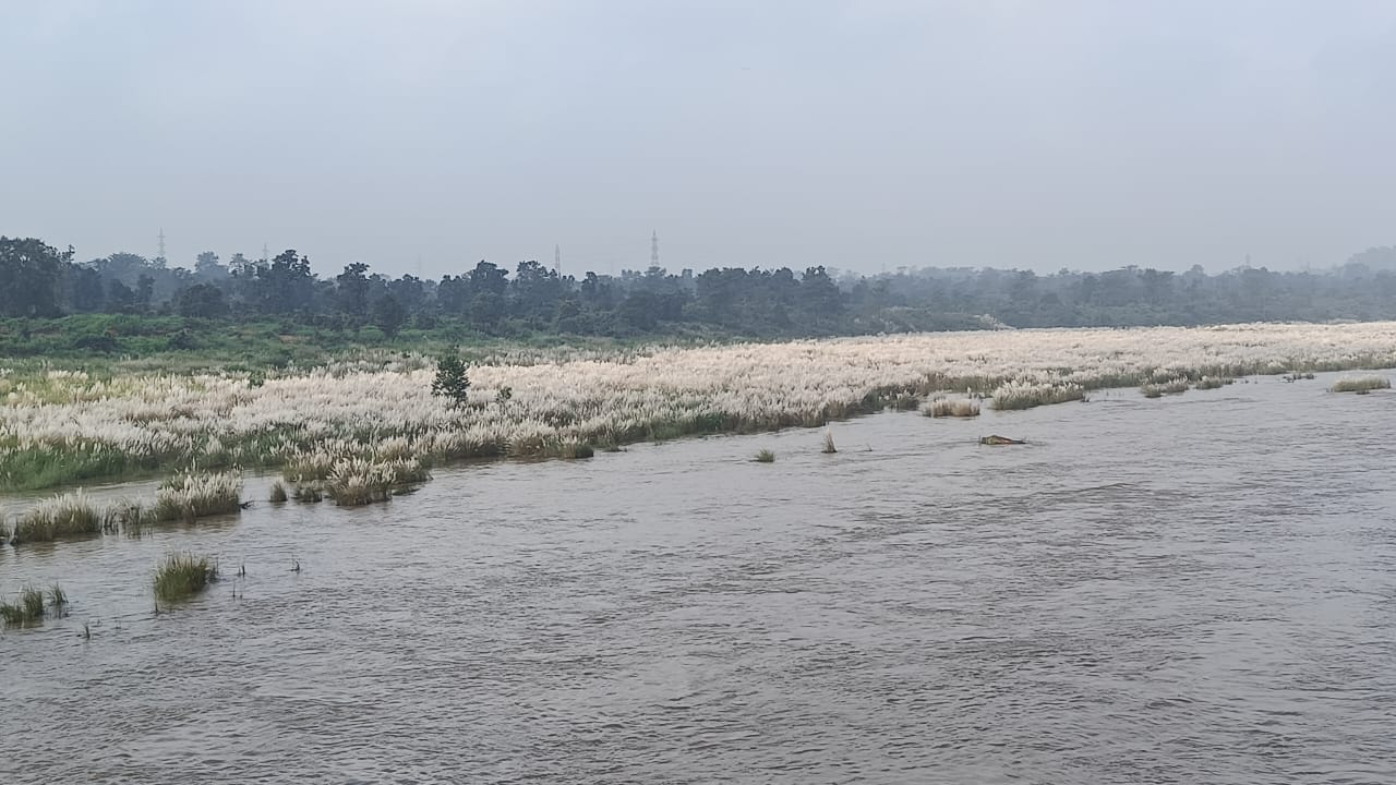1000200977.jpg
