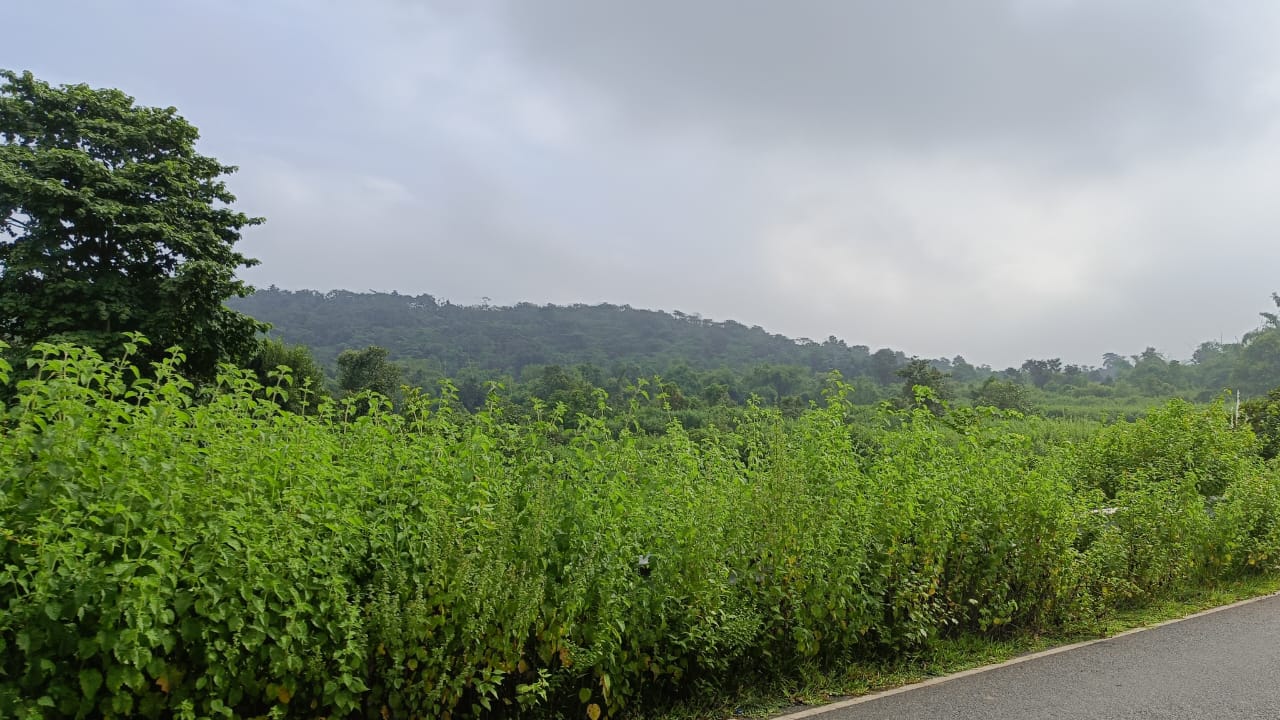 1000200908.jpg