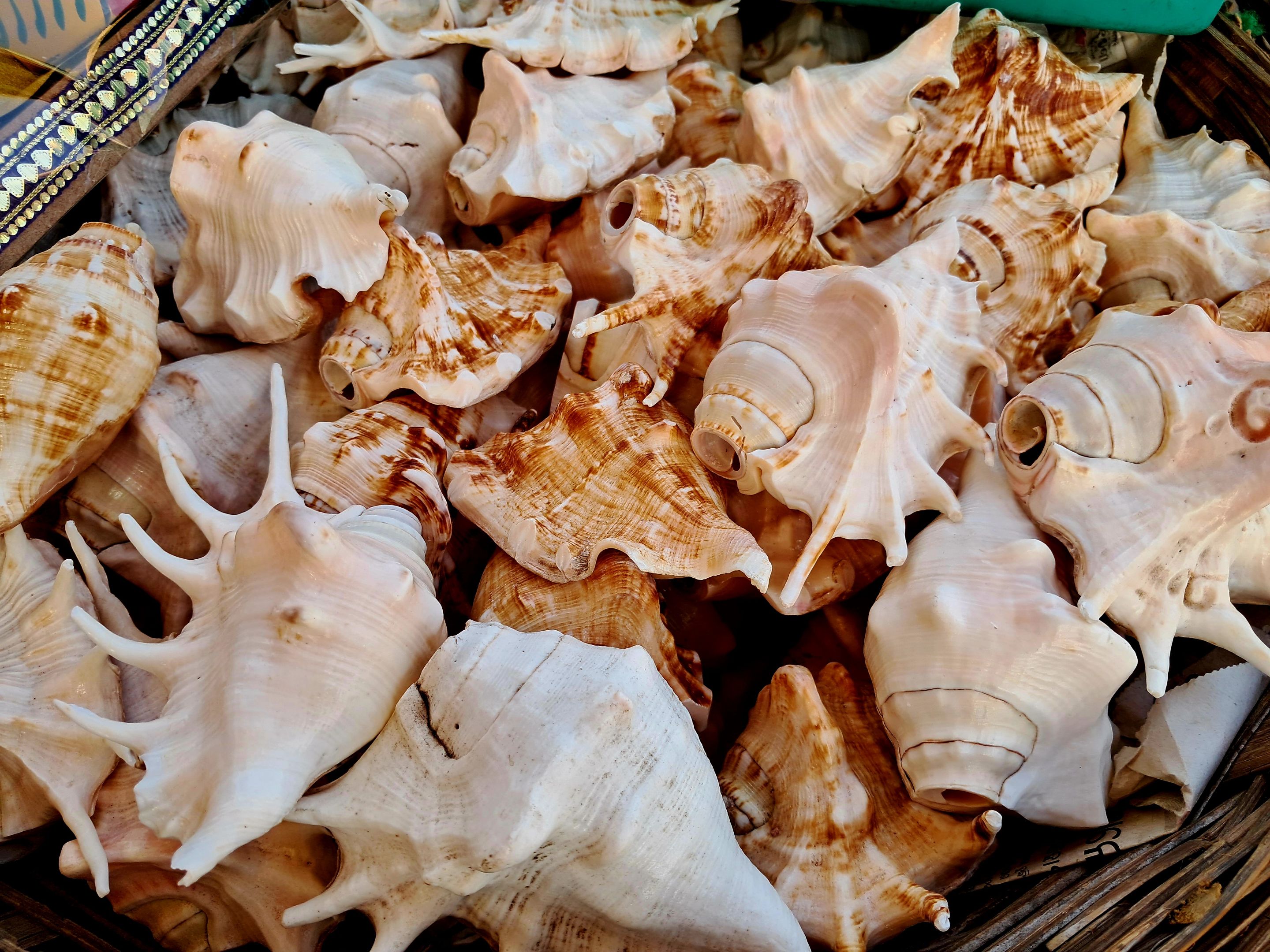 20231029_153700.jpg