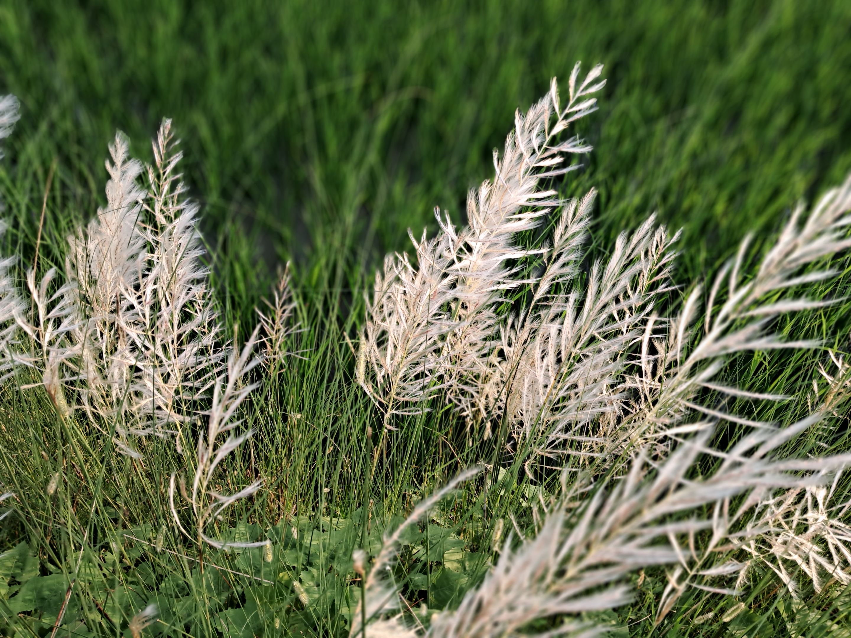 20250827_172746.jpg