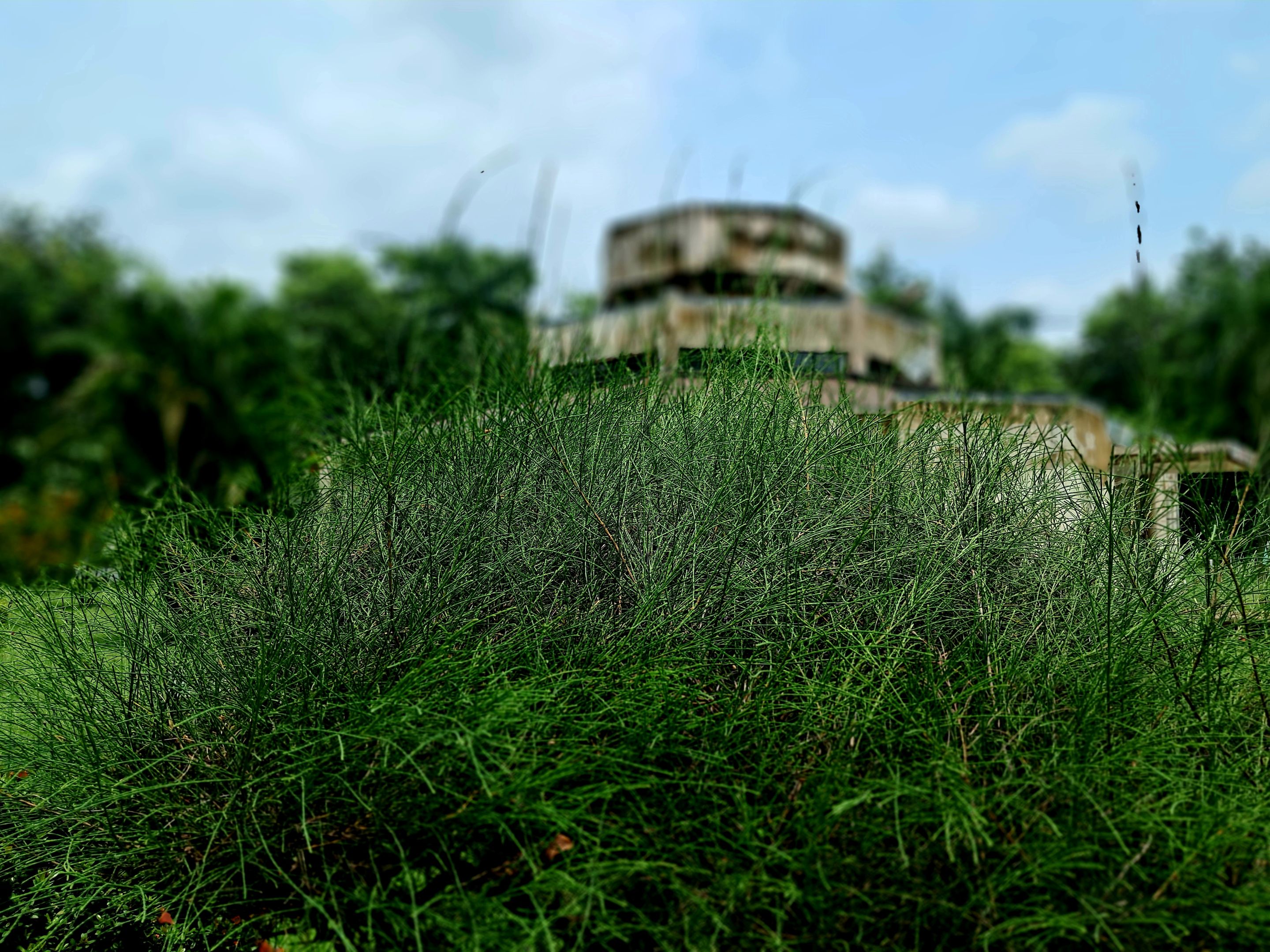 20250727_122339.jpg