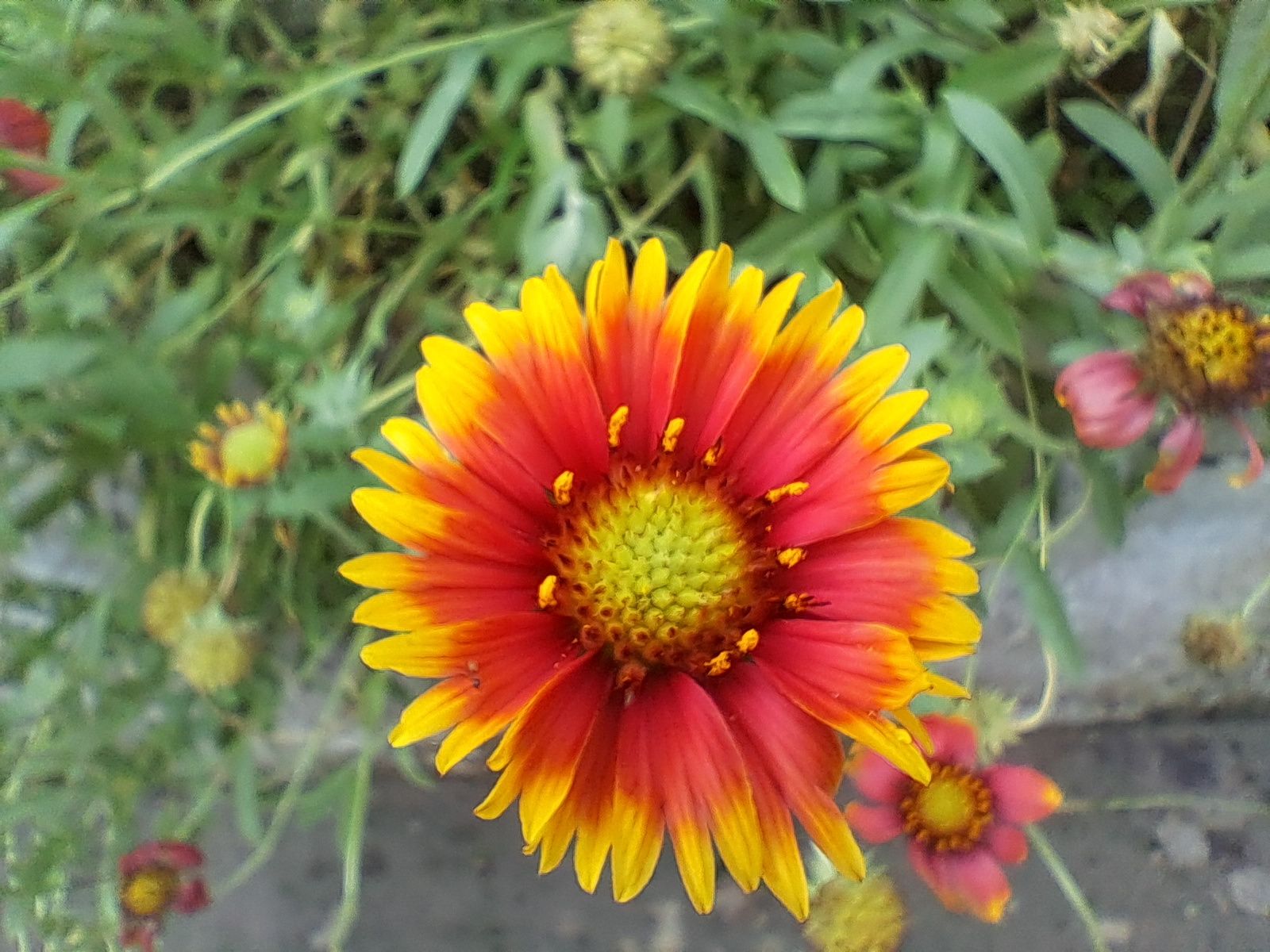 20250727_144215.jpg