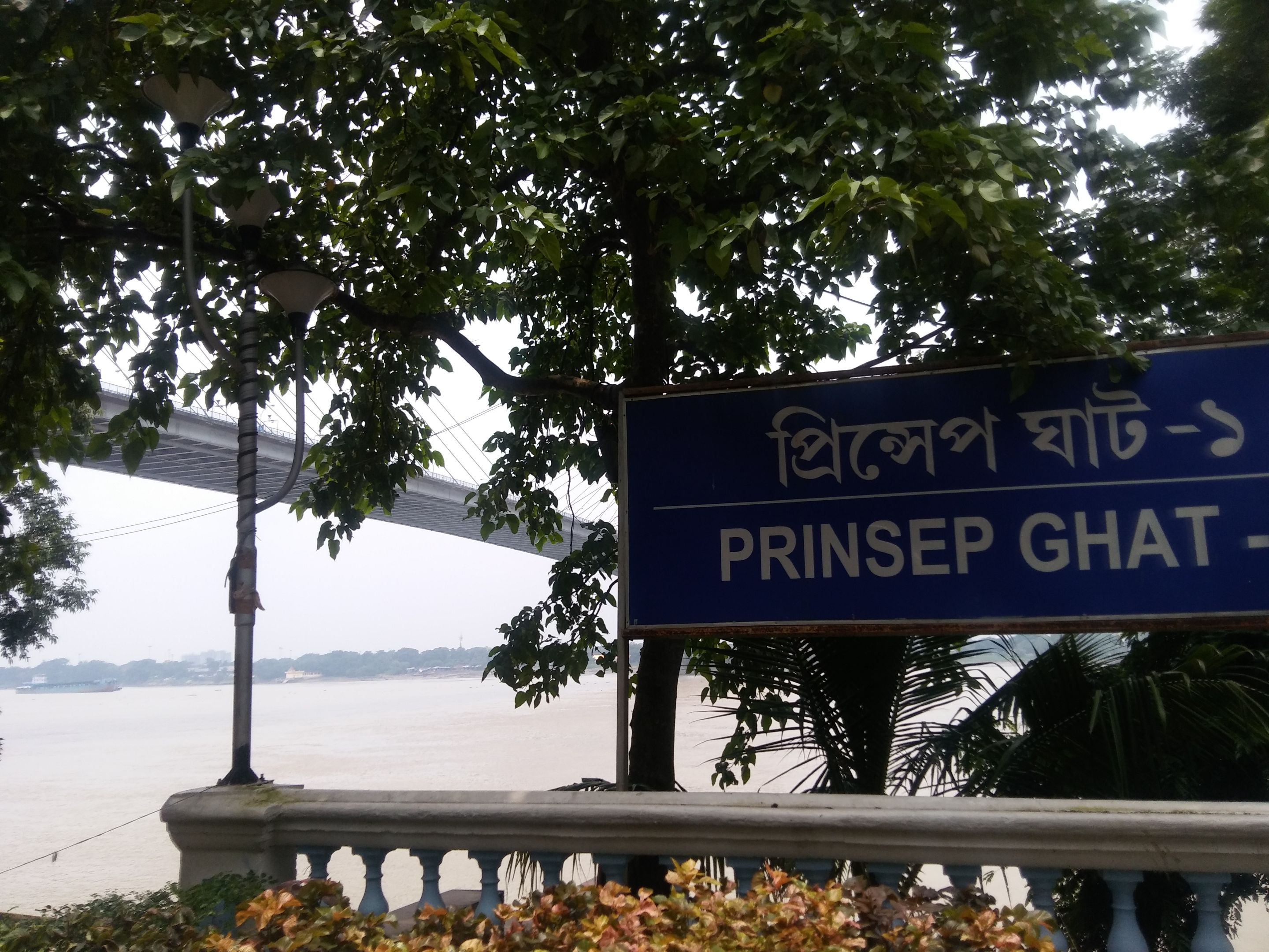 20170814_114553.jpg