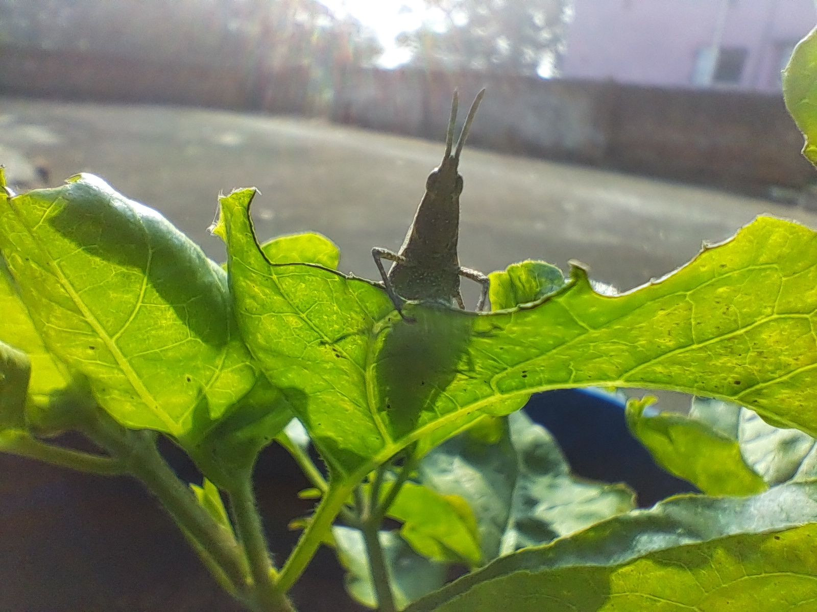 20231217_091605.jpg