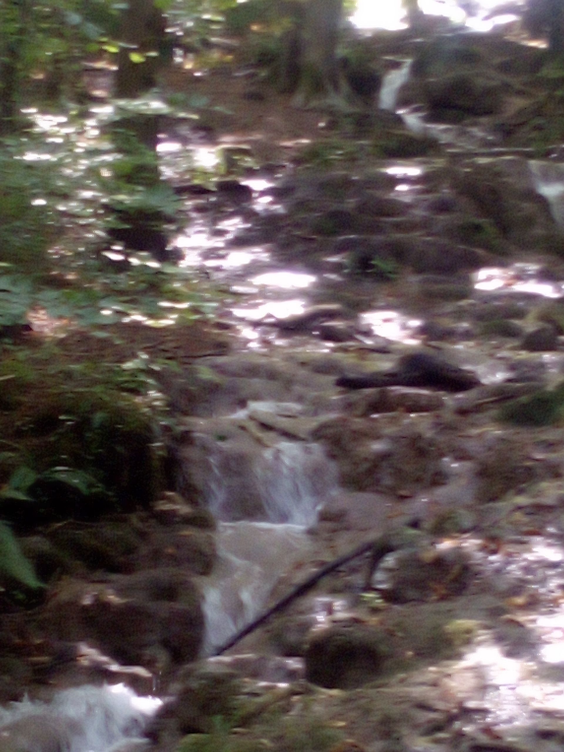 IMG_20210815_131821_215.jpg