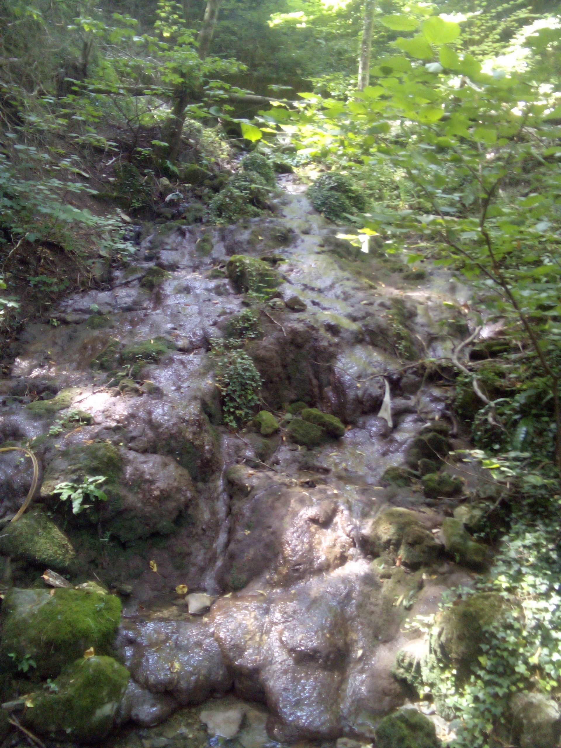IMG_20210815_131520_385.jpg
