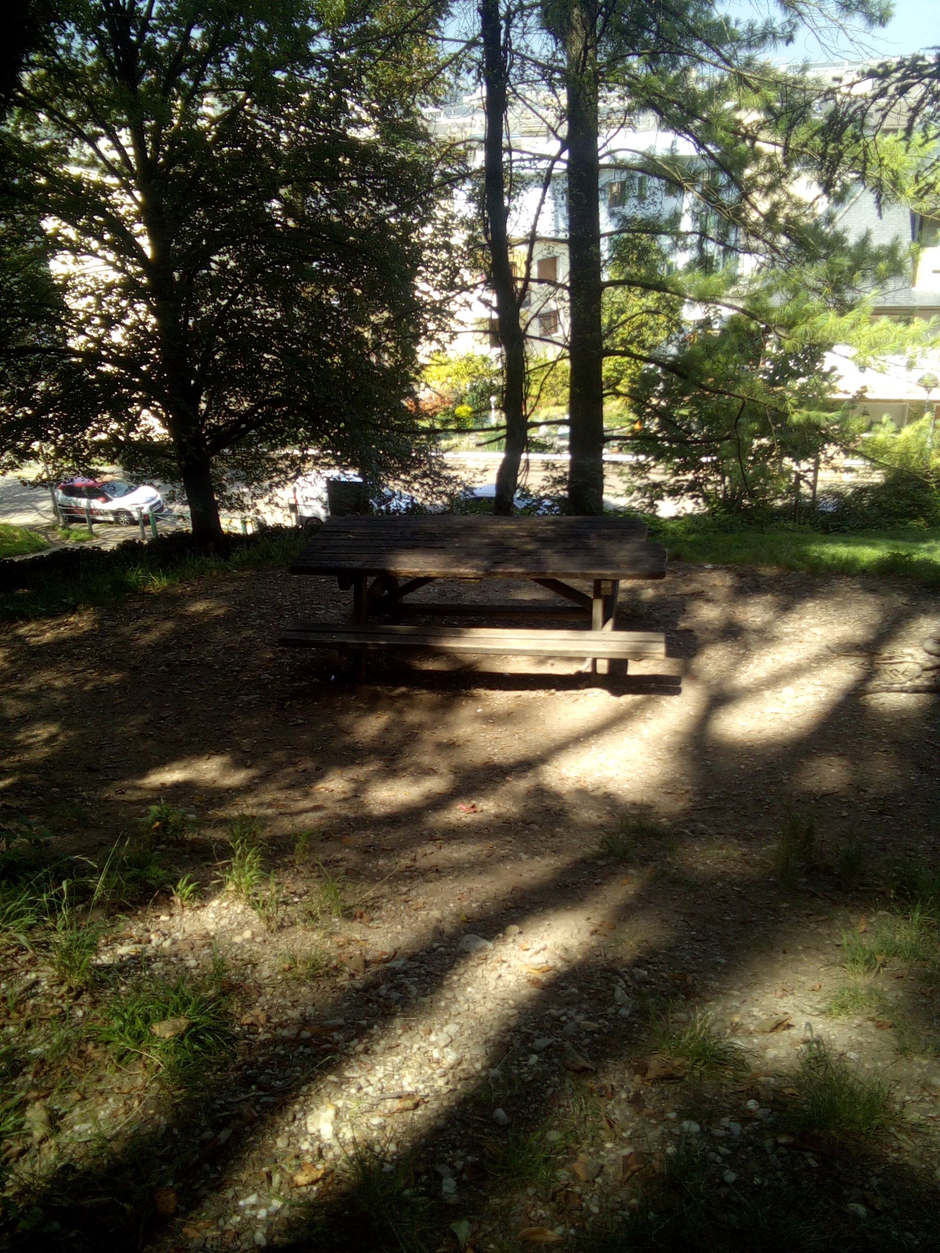 IMG_20210815_131156_150.jpg