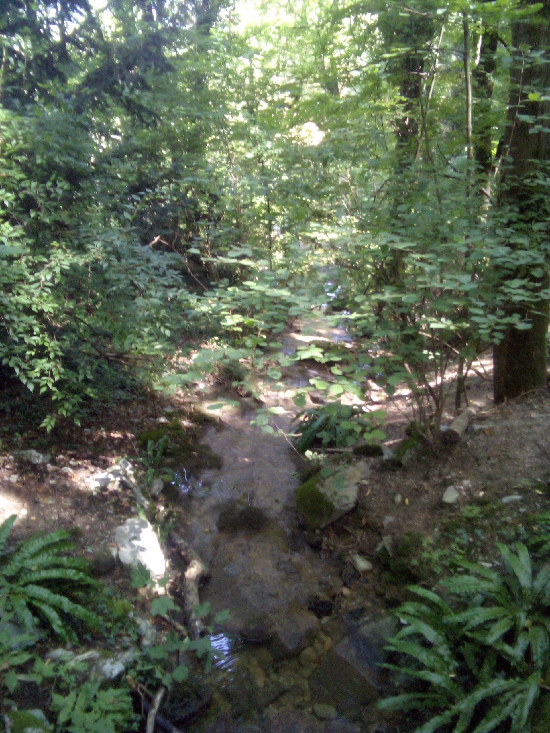 IMG_20210815_131525_263.jpg
