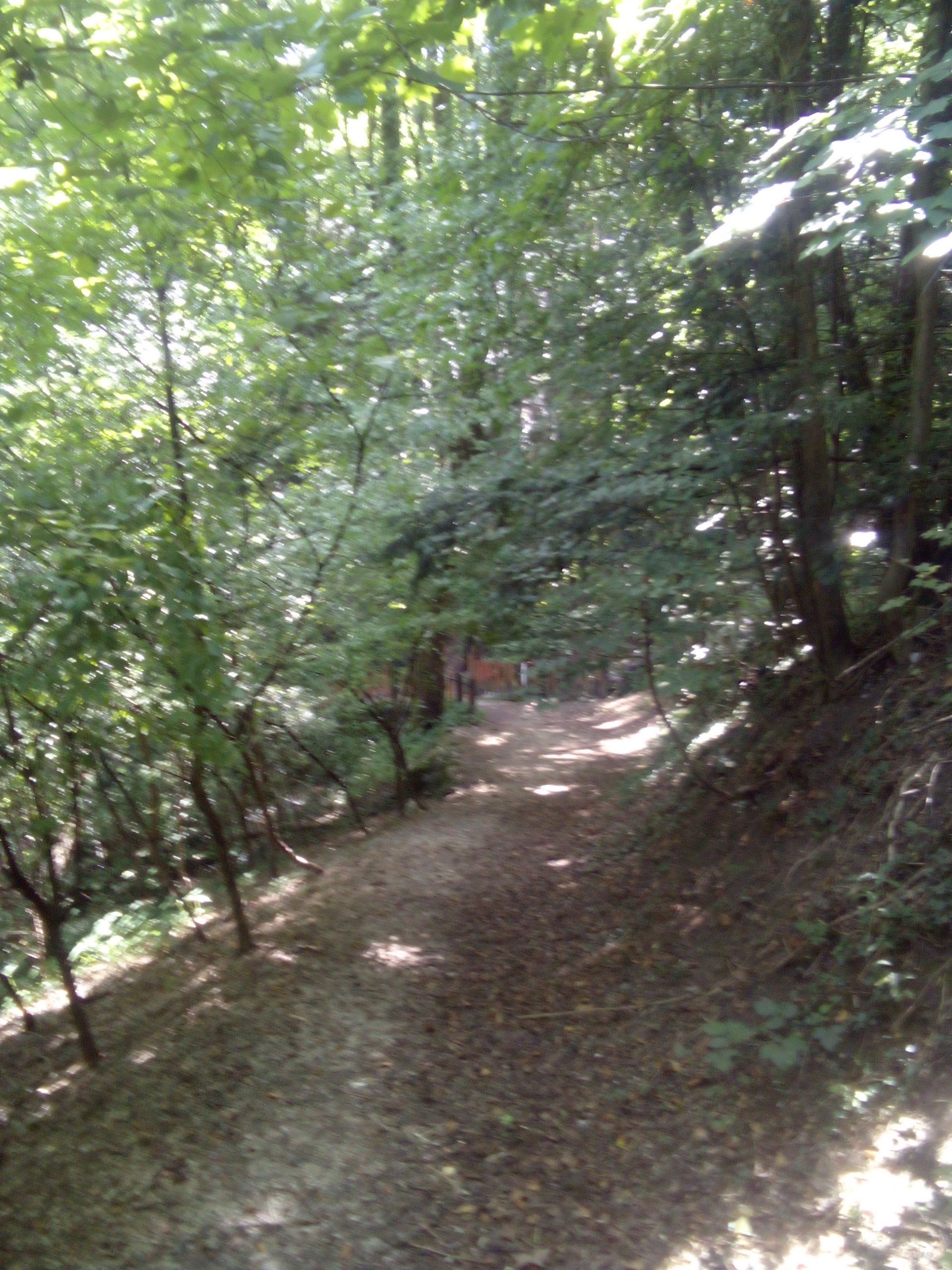 IMG_20210815_131456_256.jpg
