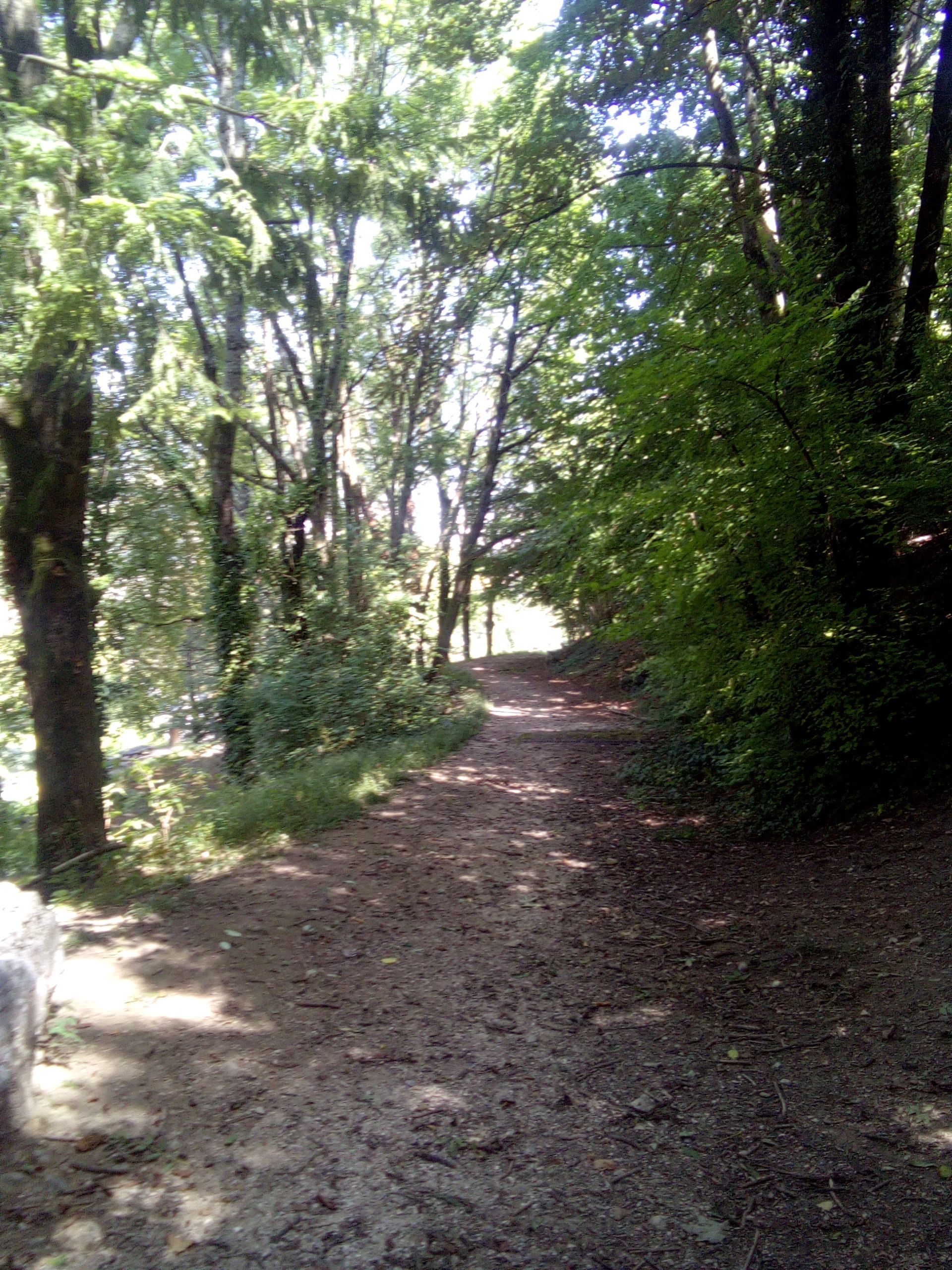 IMG_20210815_131645_489.jpg