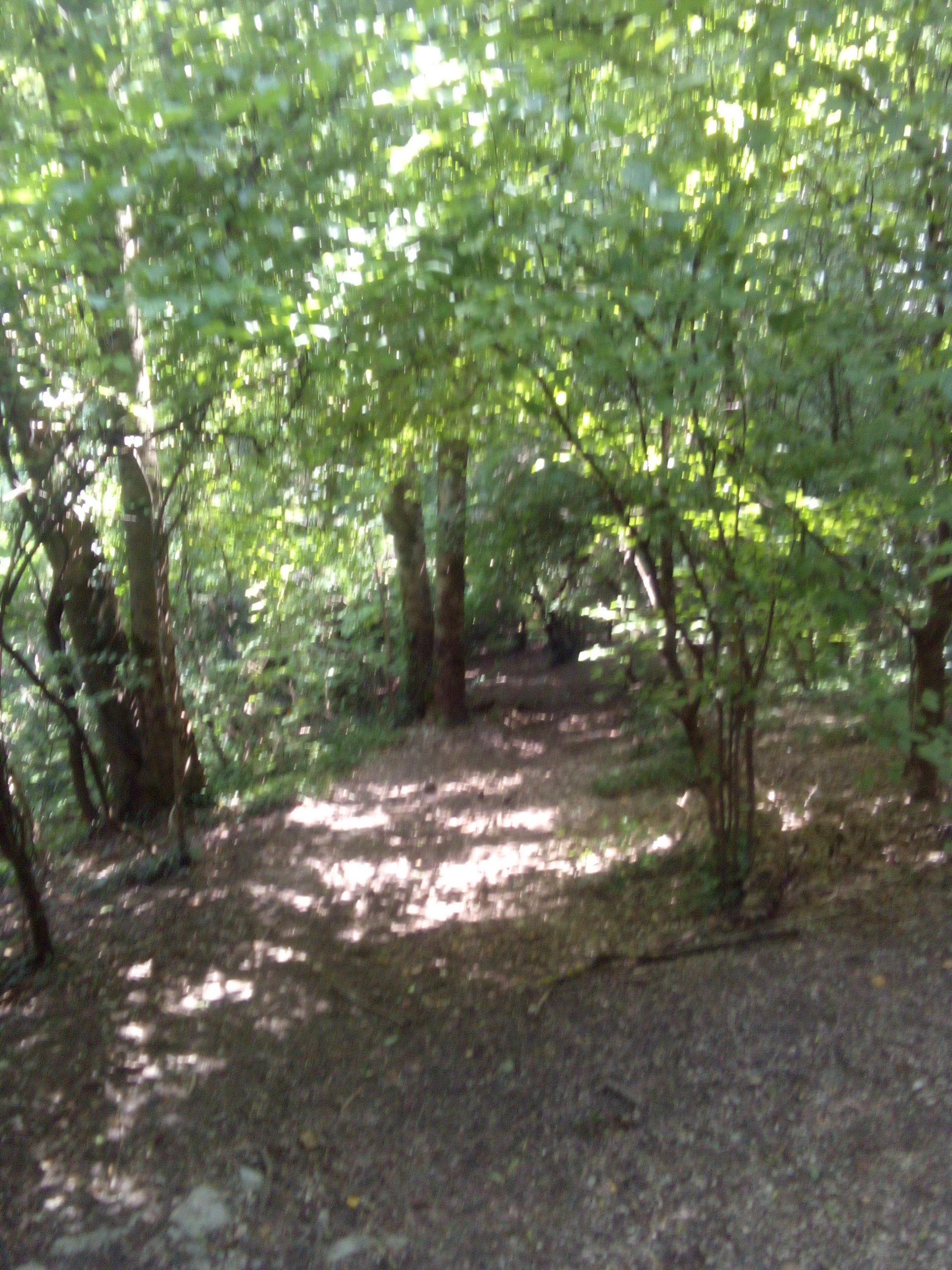 IMG_20210815_131451_587.jpg