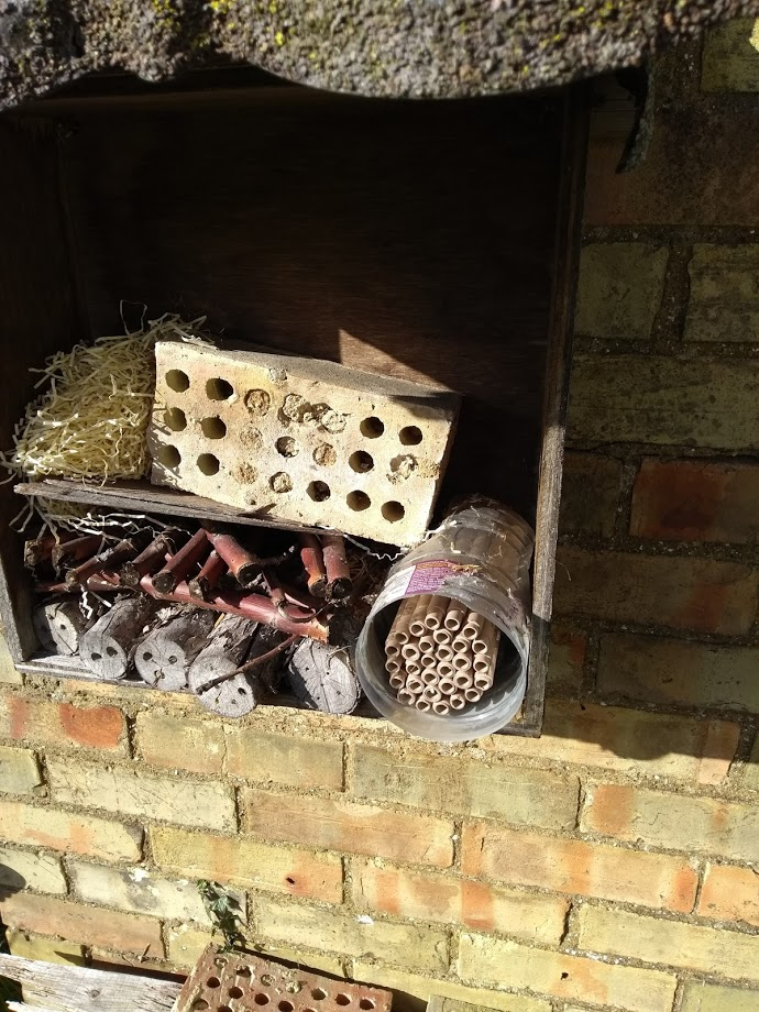 Bug house