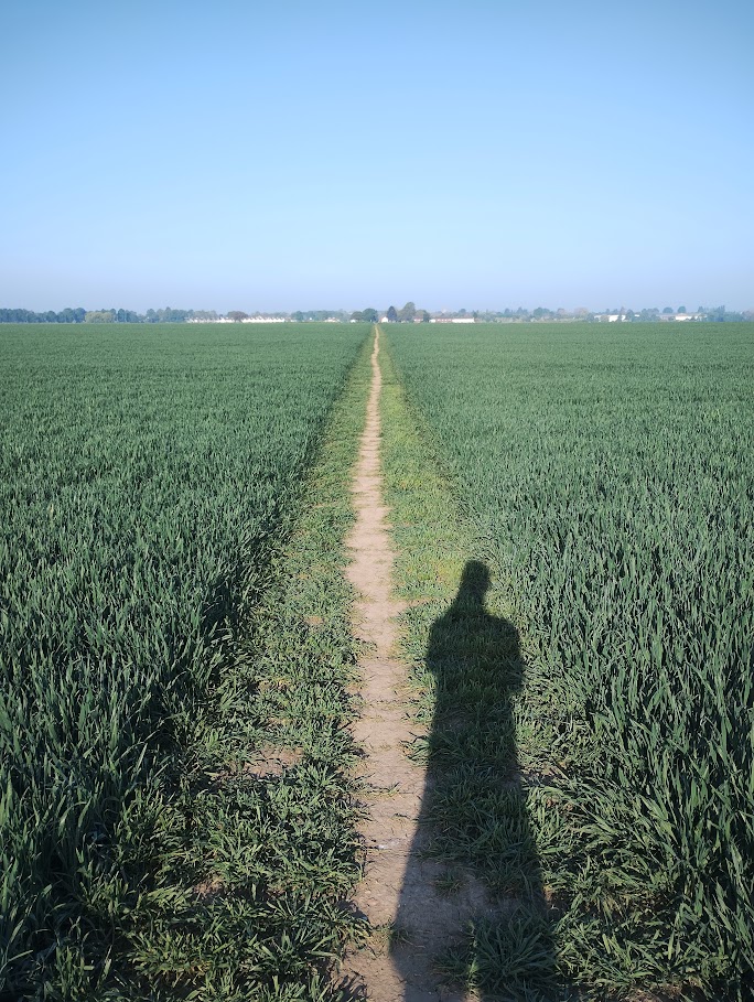 Straight ahead