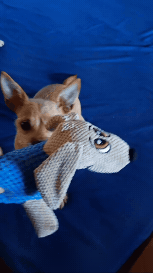 Adobe Express - video_2025-08-01_10-14-14.gif