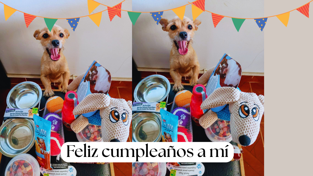feliz cumpleaños a mi.png