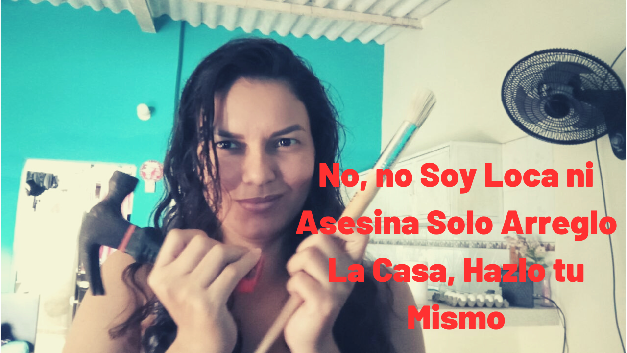 No, no Soy Loca ni Asesina Solo Arreglo La Casa (1).png