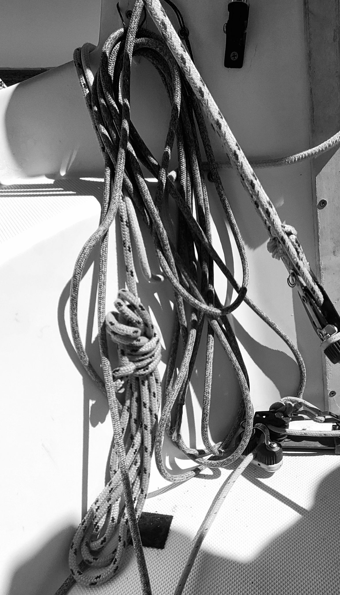 rope bw.png