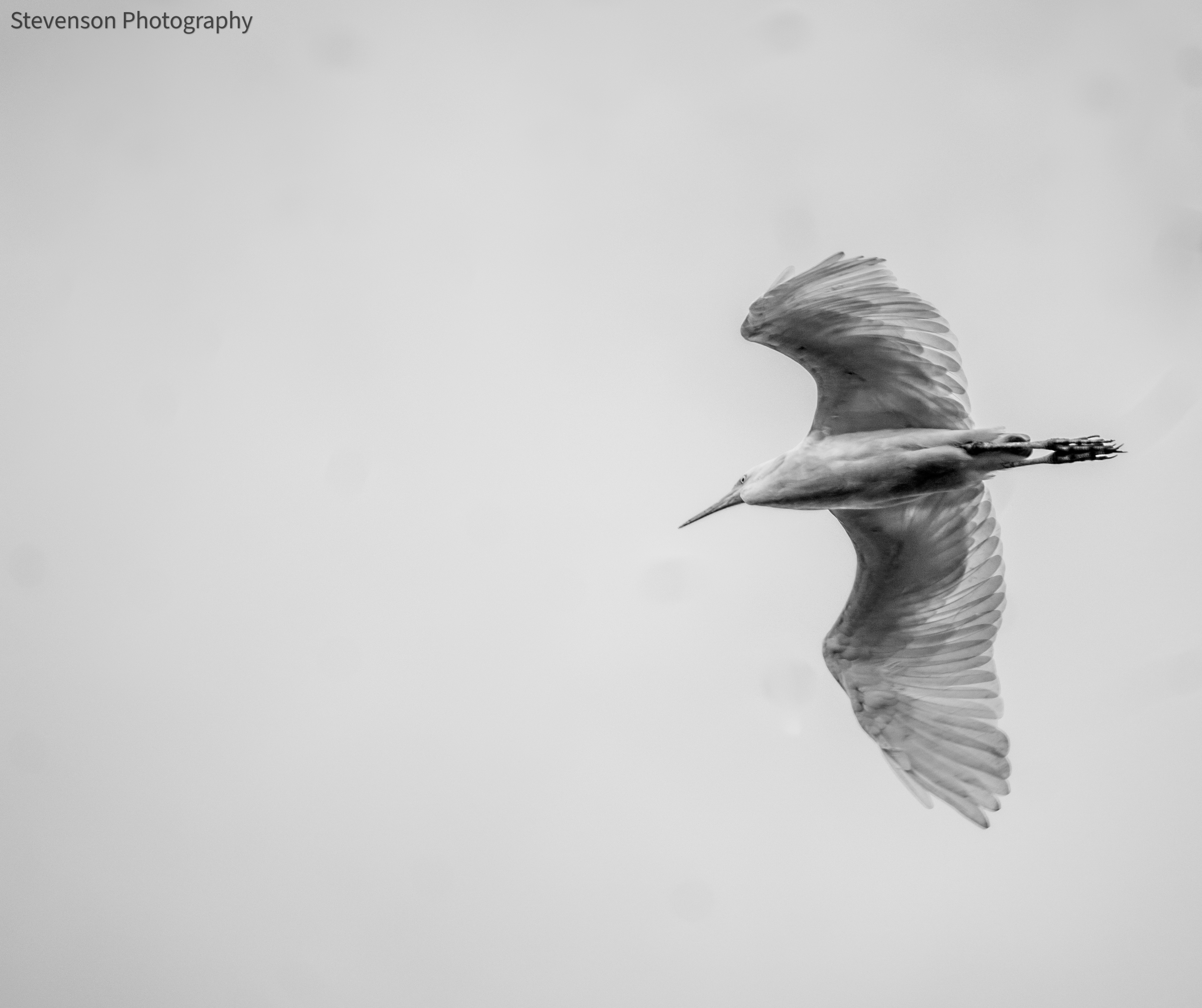 DSC_0657.jpg