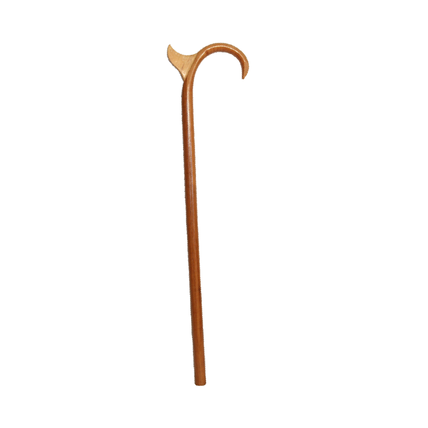 imageonline-co-straightend-image.png