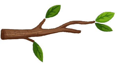 9cX2Nyhe-tree-branch-leaf-on-white-260nw-1139962724.gif