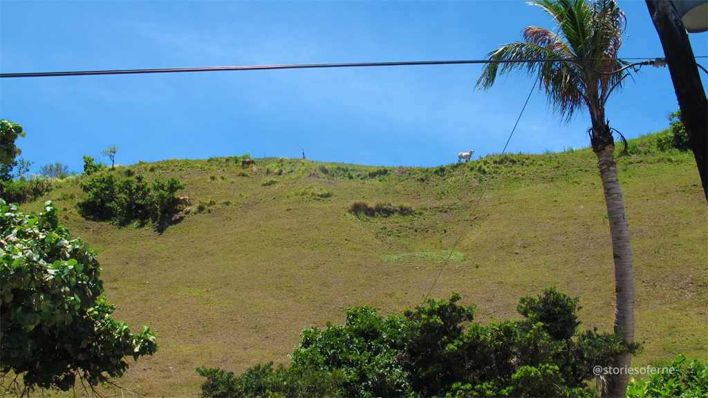 BATANES 016.jpg